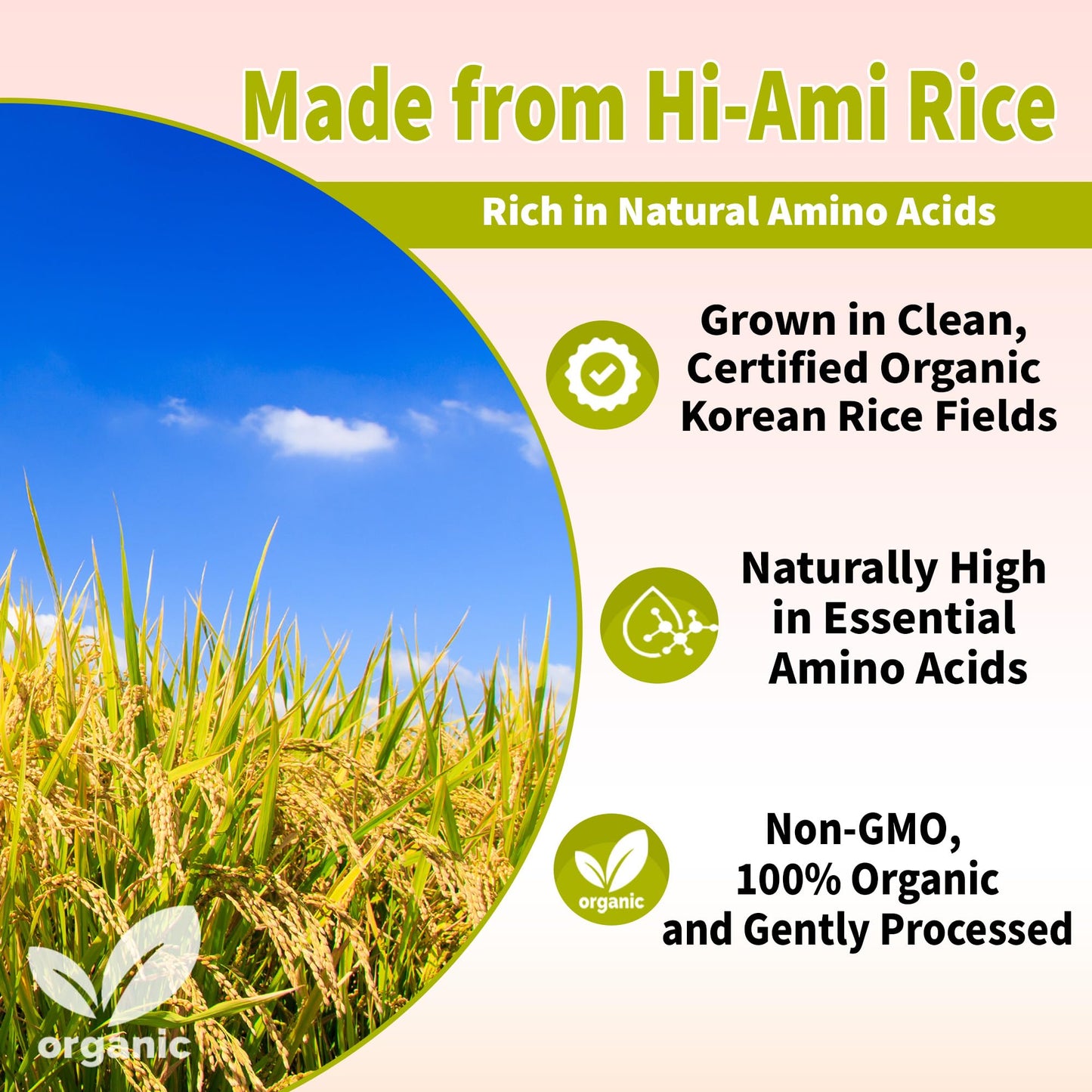 The Joah Orga Mom Hiami Rice Cereal Rice Flour Powder 6.35oz