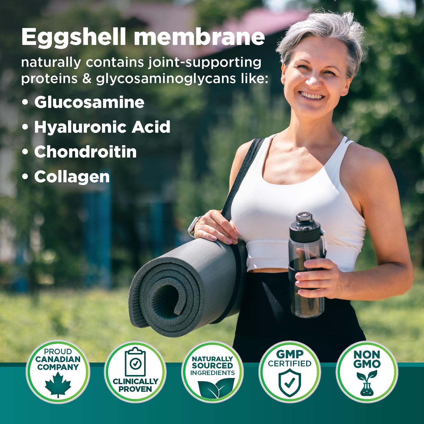 Genacol Ovoflex Natural Eggshell Membrane Joint Supplement Capsule 60 Count