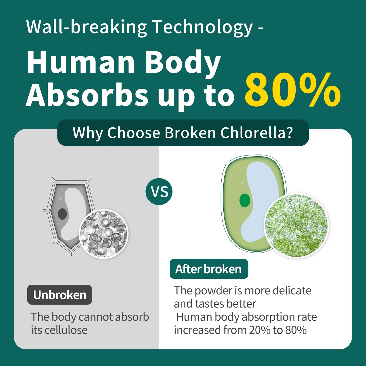 Hudetex Chlorella Powder 9.99 Ounce