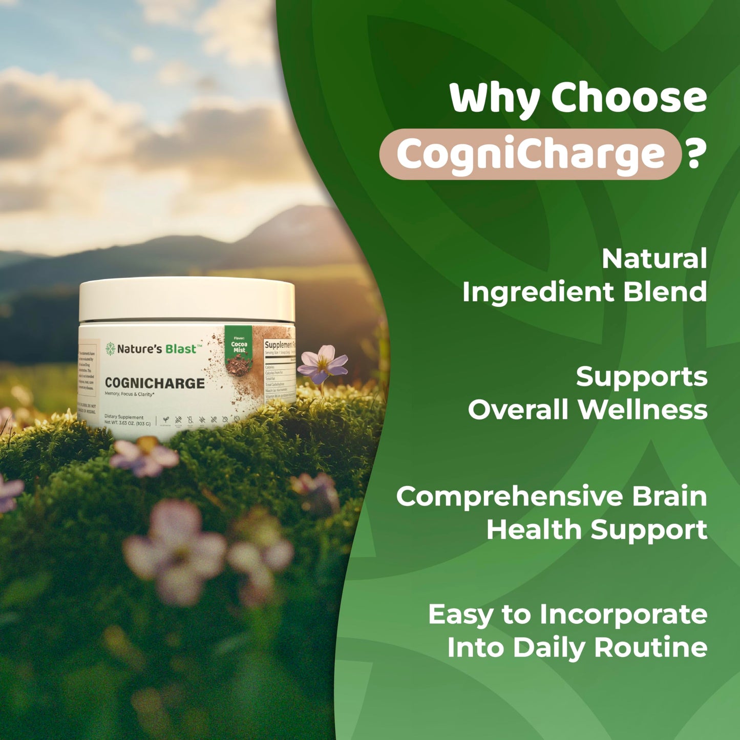 NATURES BLAST CogniCharge Brain Supplement Powder 3.63 Ounce