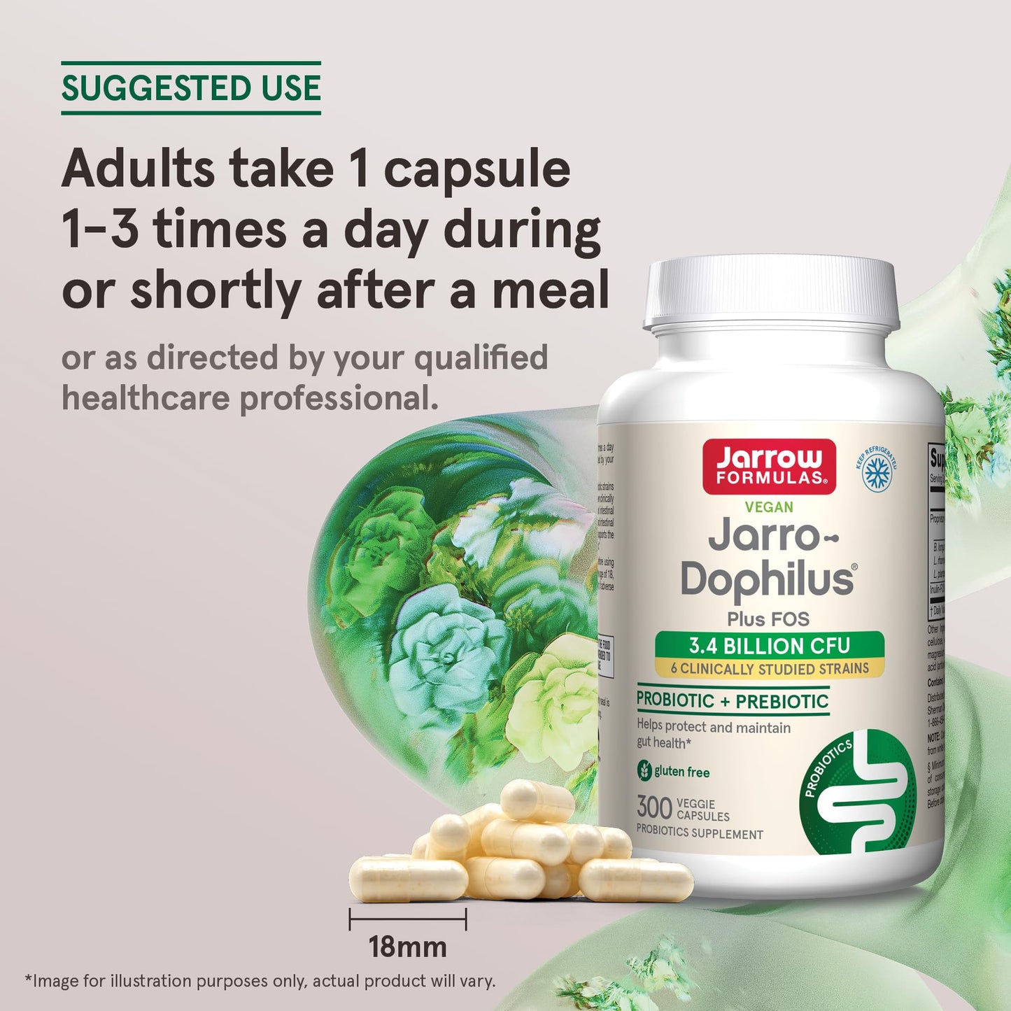 Jarrow Formulas Jarro-Dophilus + FOS 3.4 Billion CFU Per Serving Prebiotic & Probiotics Supplement for Immune & Intestine Support, Capsule, 300 Capsules