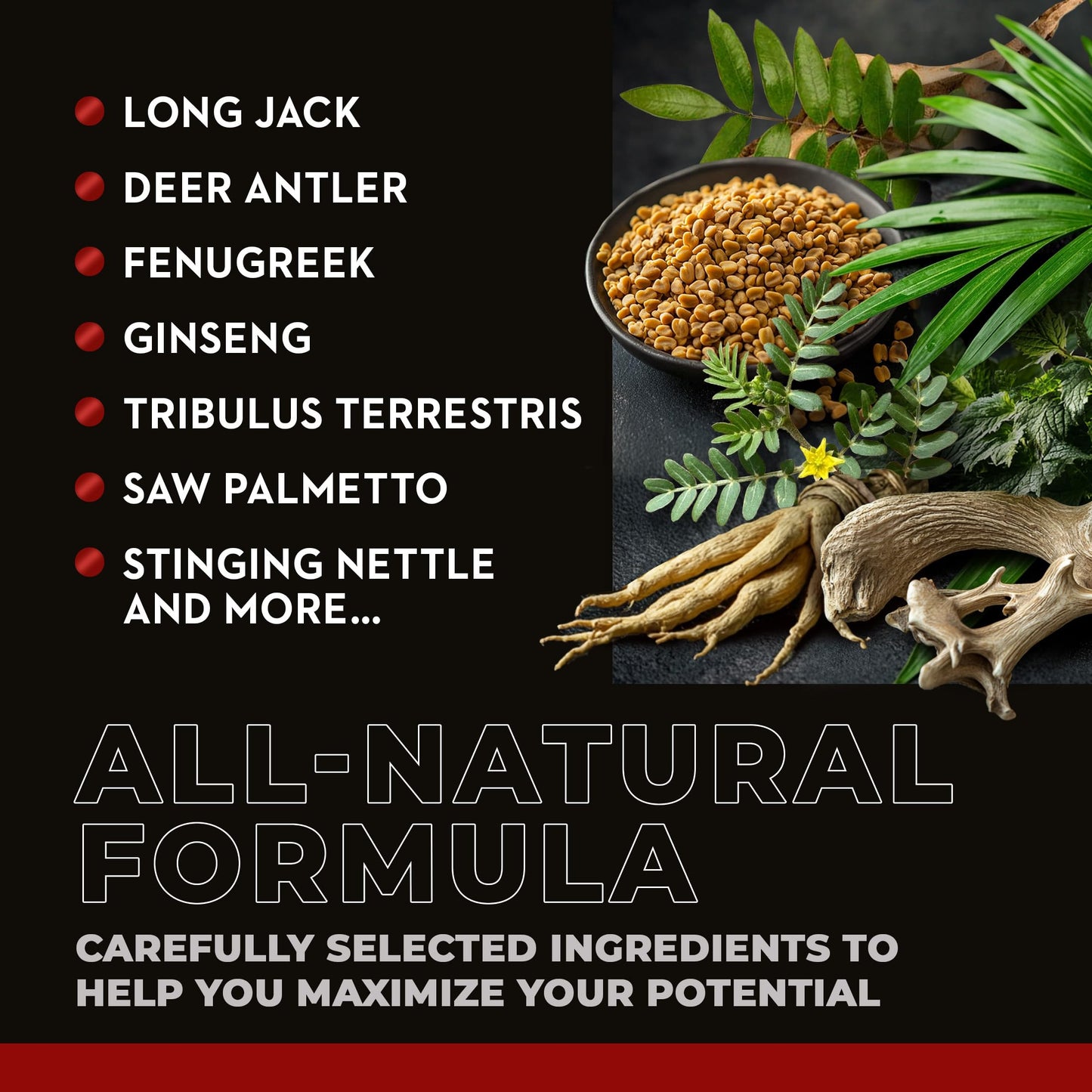 NAR LABS AndroStar Hardcore Natural Testosterone Booster with Estrogen Blocker for Men, 120 Capsules