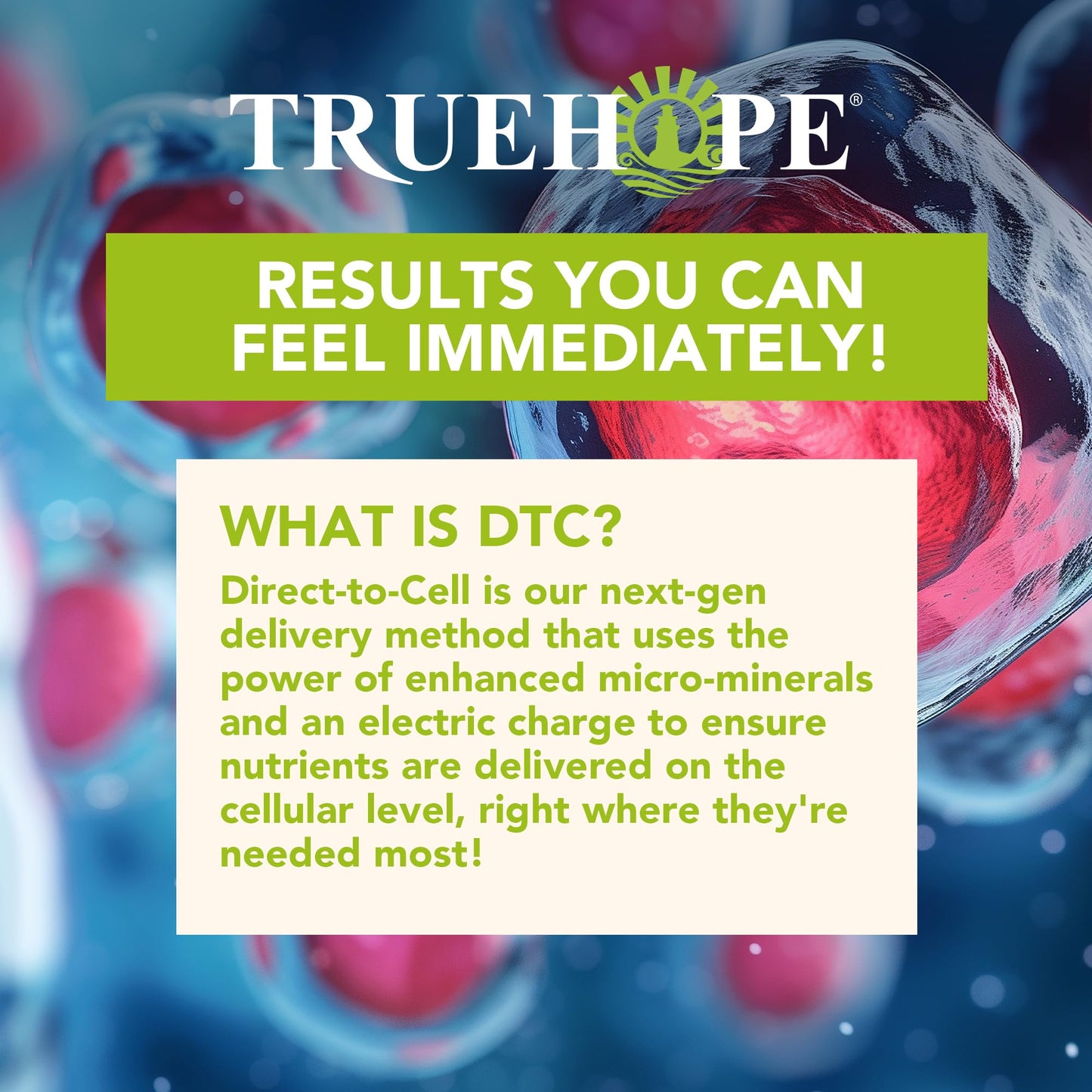 Truehope Multivitamin Nootropic Pouches with Inositol - Once-Per-Day EMPowerplus Ultimate Sticks Powder, 30 Count