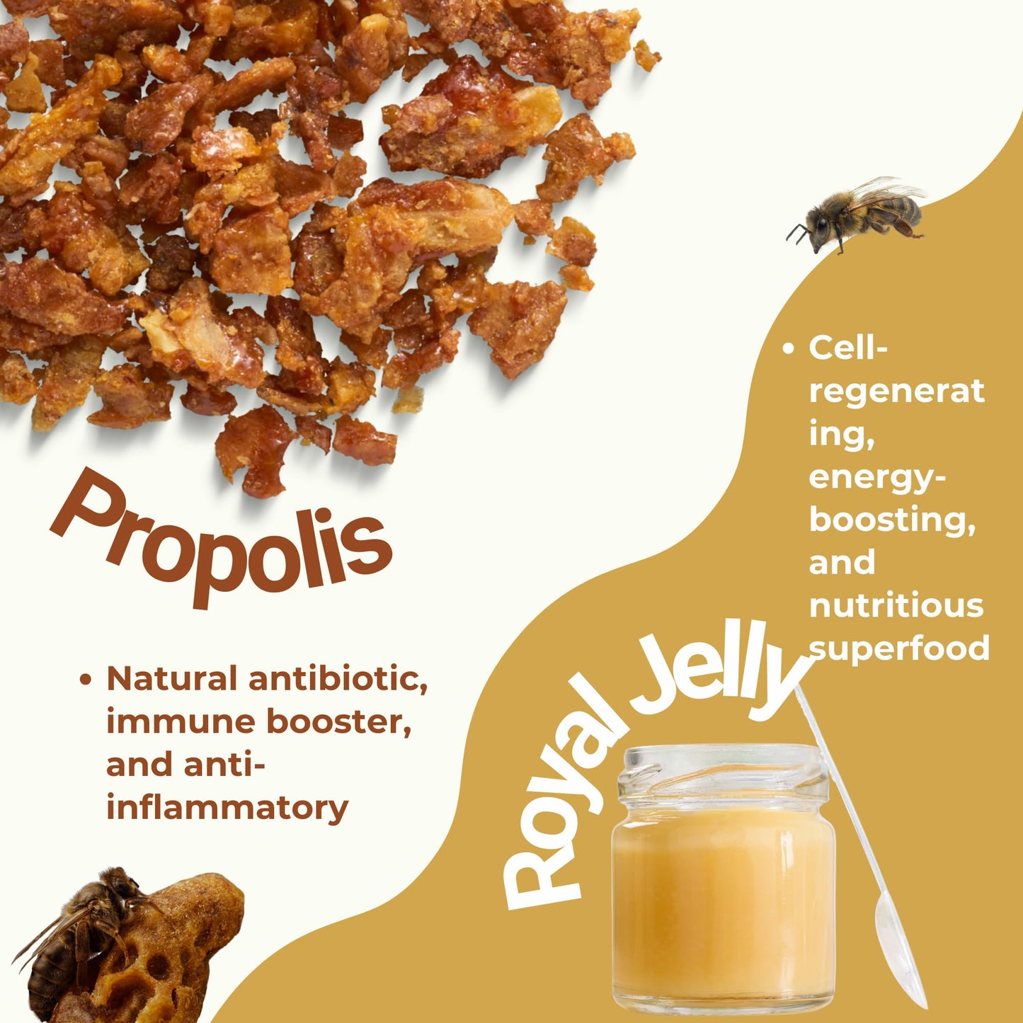 afye Immune System Support Supplement - Natural Blend of Propolis, Royal Jelly, Echinacea & Vitamin C - Enhances Health Plant-Based 90 Capsules