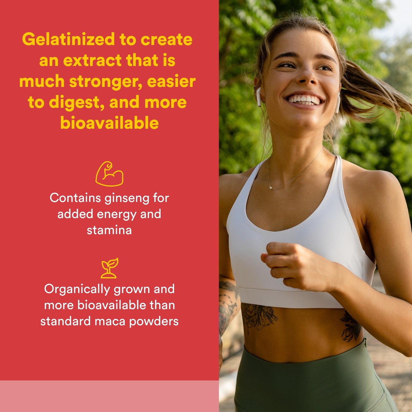 Natural Factors MacaRich Super Strength Power Maca Capsules, 90