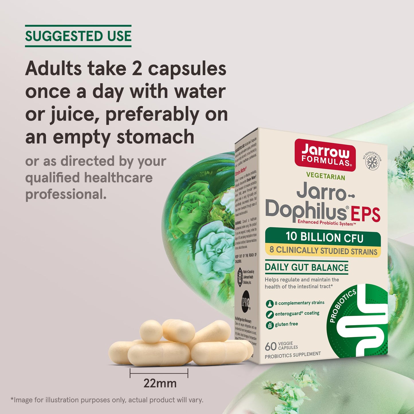 Jarrow Formulas Jarro Dophilus Probiotics 10 Billion CFU Capsule, 60 Count