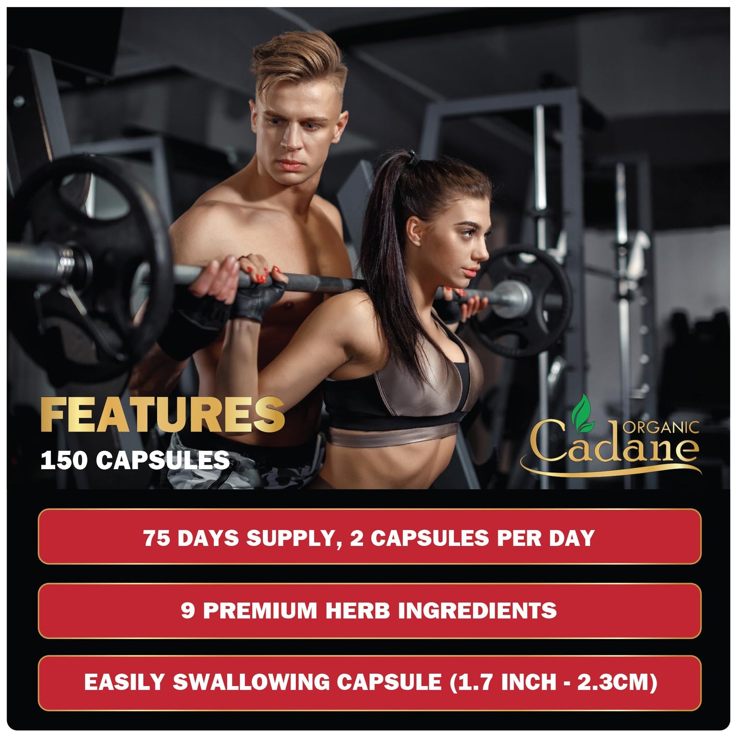 Organic Cadane Berberine Supplement Capsule 150 Capsules