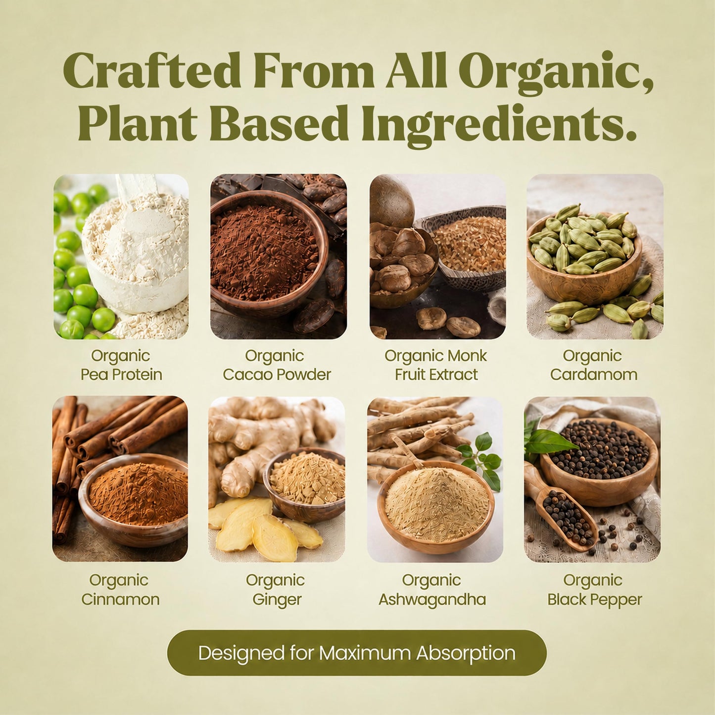 Elements Chai Spice Plant Protein Powder, 25.5 Servings