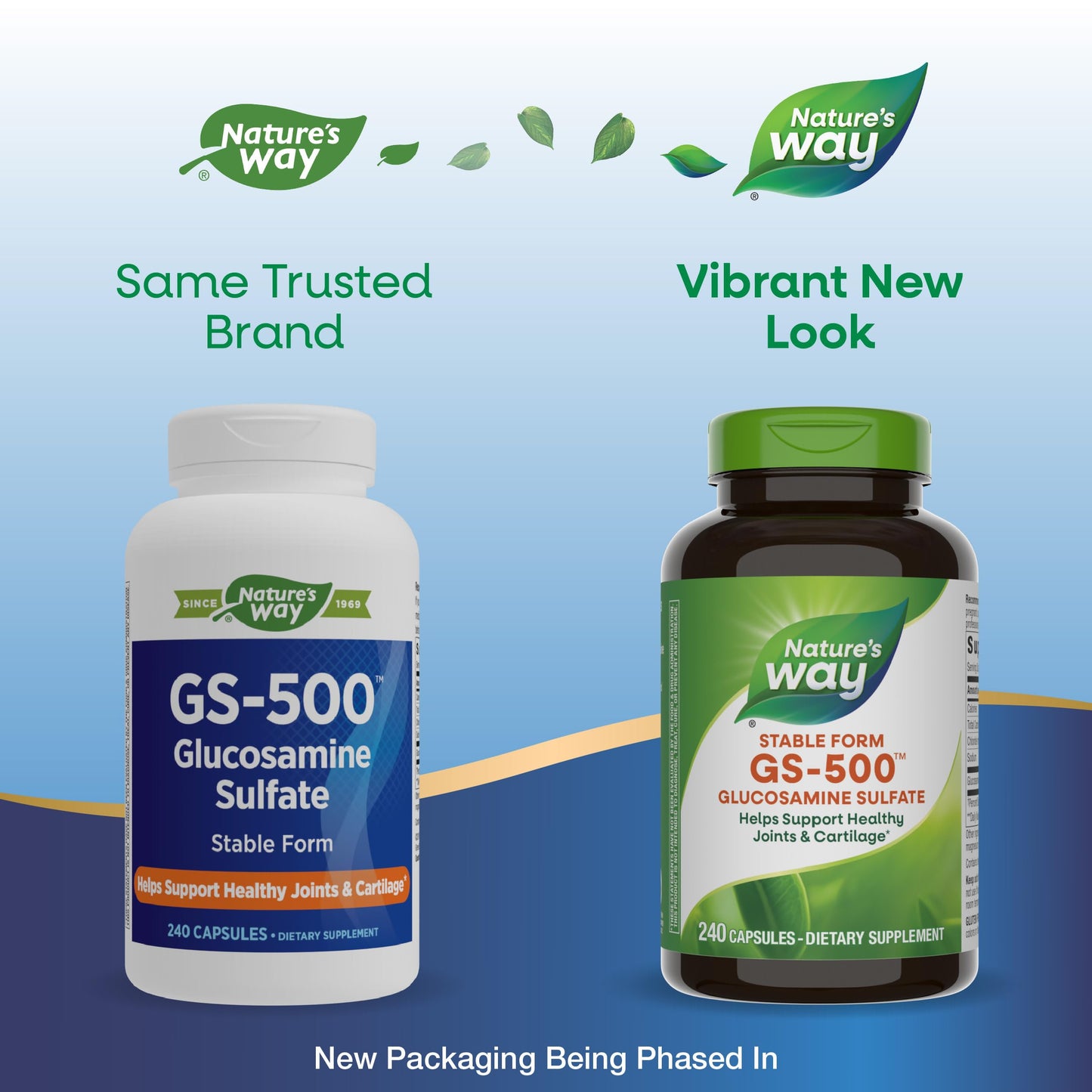 Nature's Way GS-500 Glucosamine Sulfate Capsule, 240 Capsules