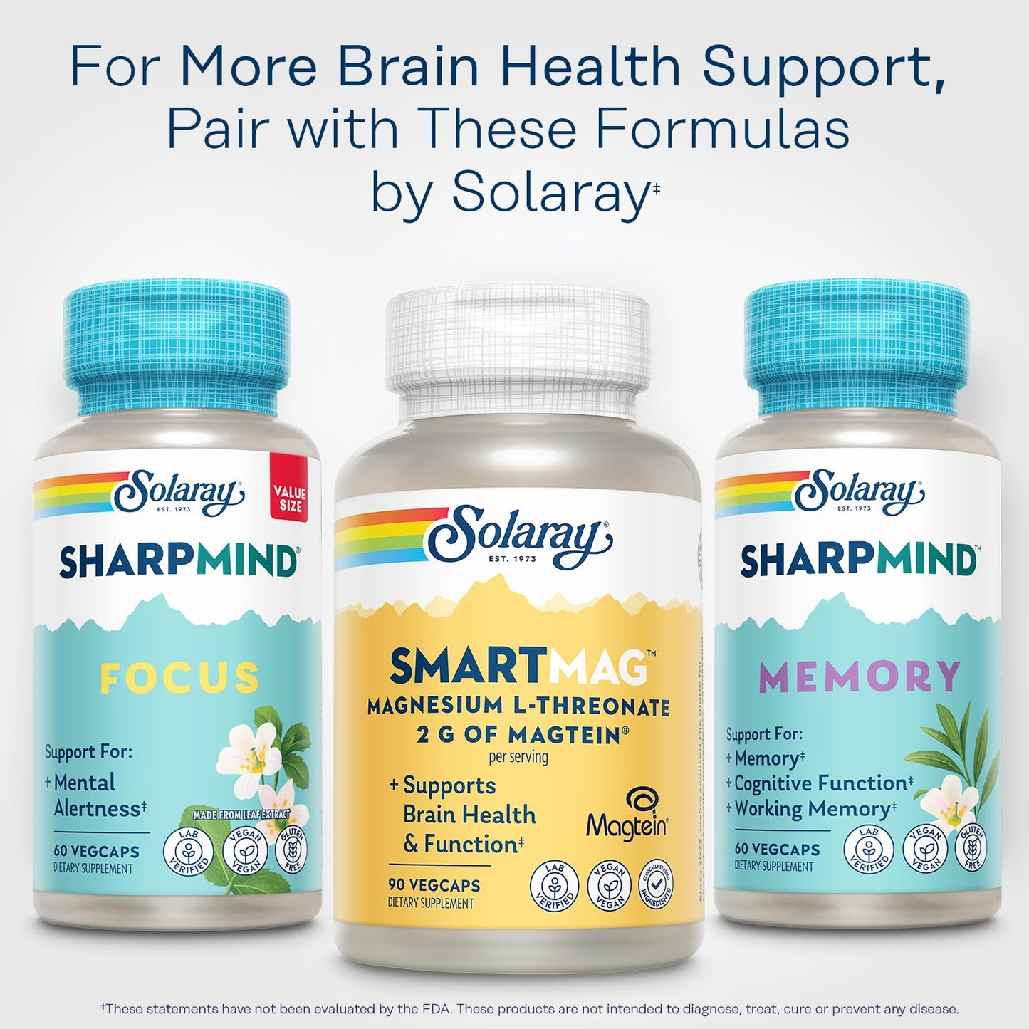 Solaray SmartMag Magtein Magnesium L-Threonate Capsule 90 Count