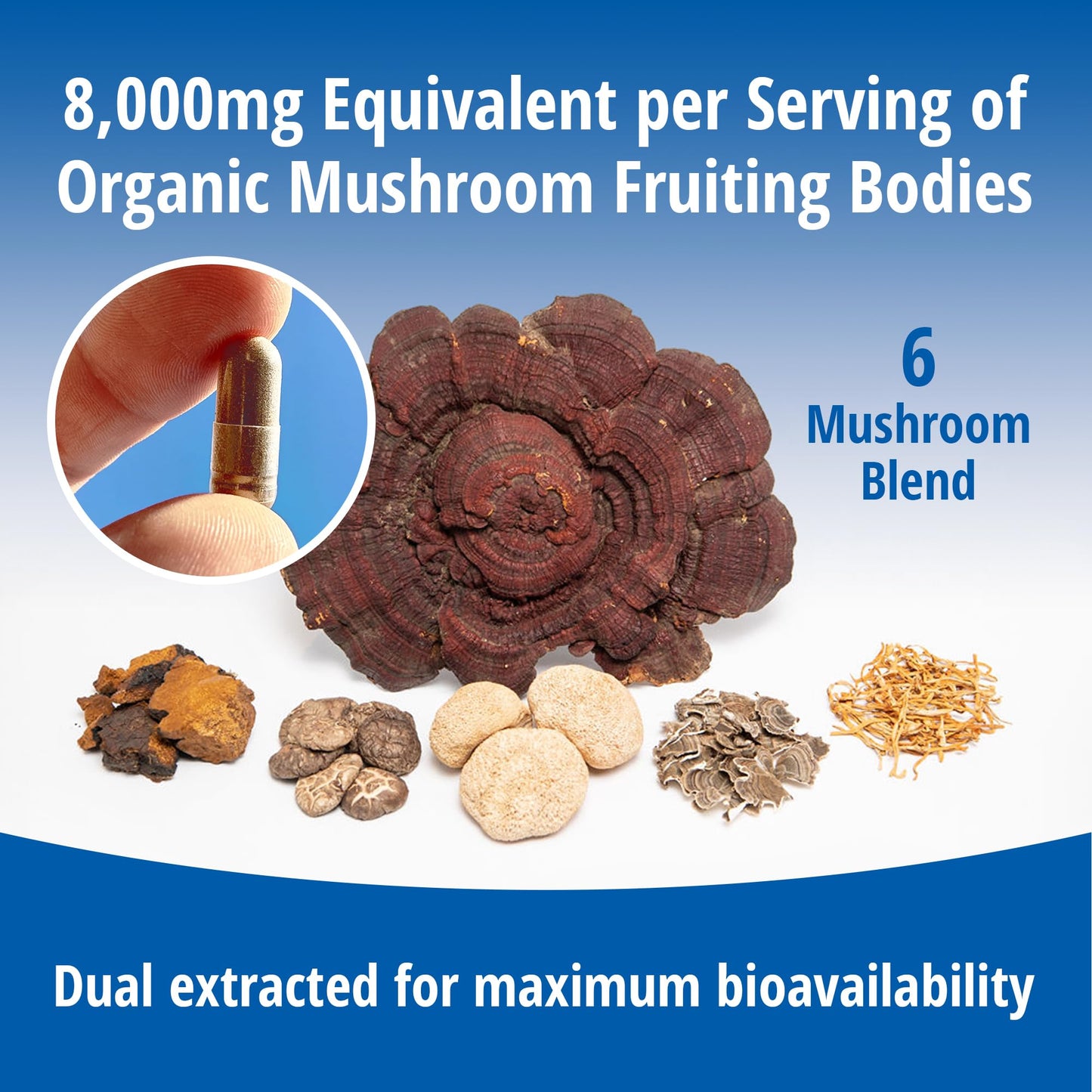 ENCAPSULATE 6 Mushroom Blend – Reishi, Chaga, Turkey Tail, Cordyceps, Lion’s Mane & Shiitake 8:1 Mushroom Extract – Nootropic & Adaptogen Mushroom Supplement for Gut, Brain & Immune Support, 120 Capsules