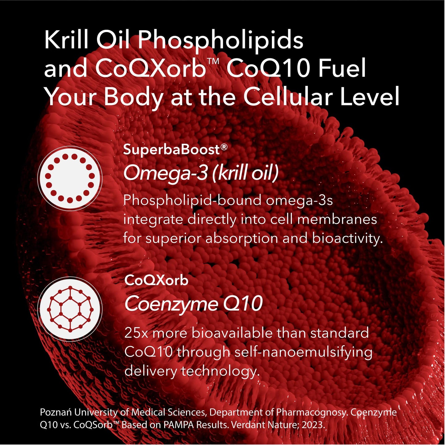 Mobisyn Omega 3 with CoQ10 Antarctic Krill Oil Softgel 60 Softgels