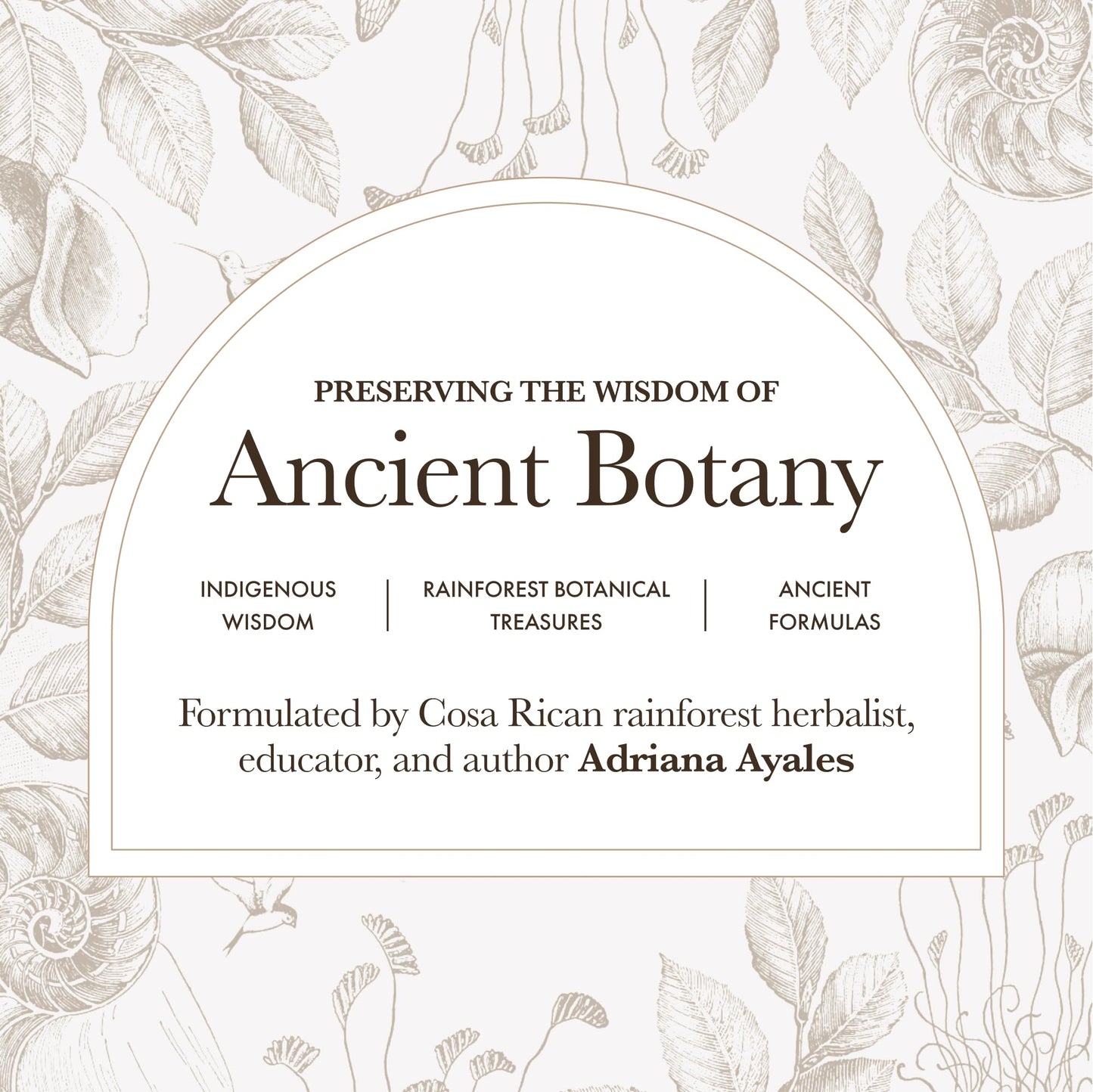 Anima Mundi Apothecary Vegan Collagen Powder 4 oz