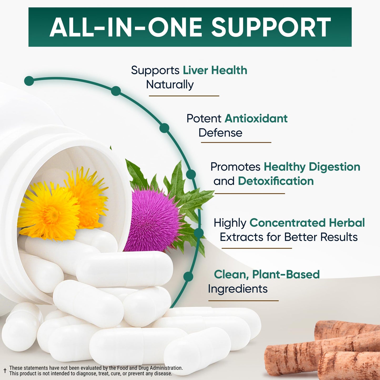 VEYNE Milk Thistle Supplement 80% Silymarin (240mg Active) with Dandelion Root Extract 10:1 & Burdock Root 20:1 – Liver Support – Capsules, 60 Capsules