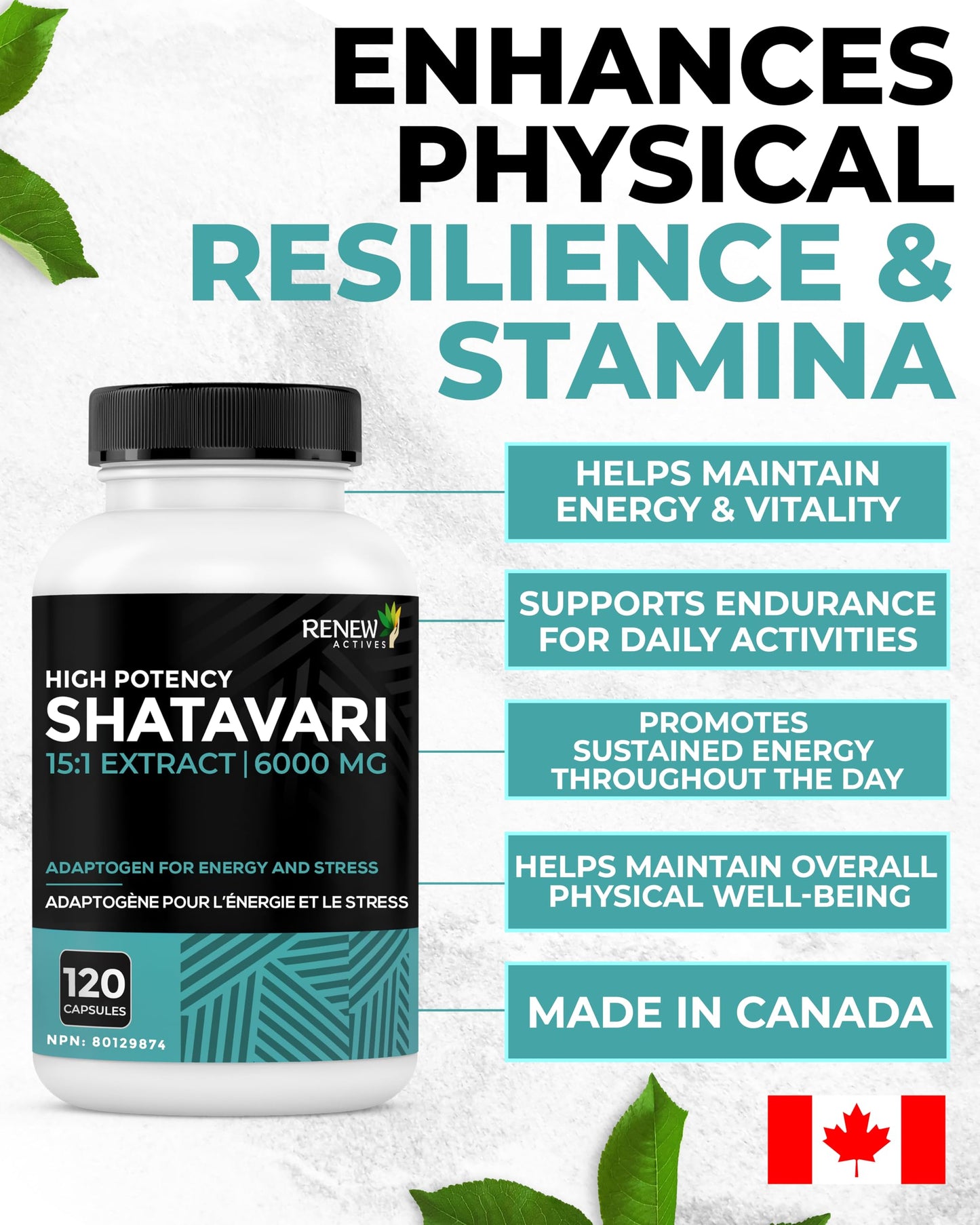 Renew Actives Shatavari Capsules 120 Count