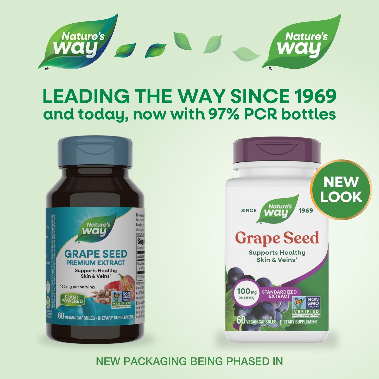 Nature's Way Grape Seed Standardized Extract Capsule 60 Count