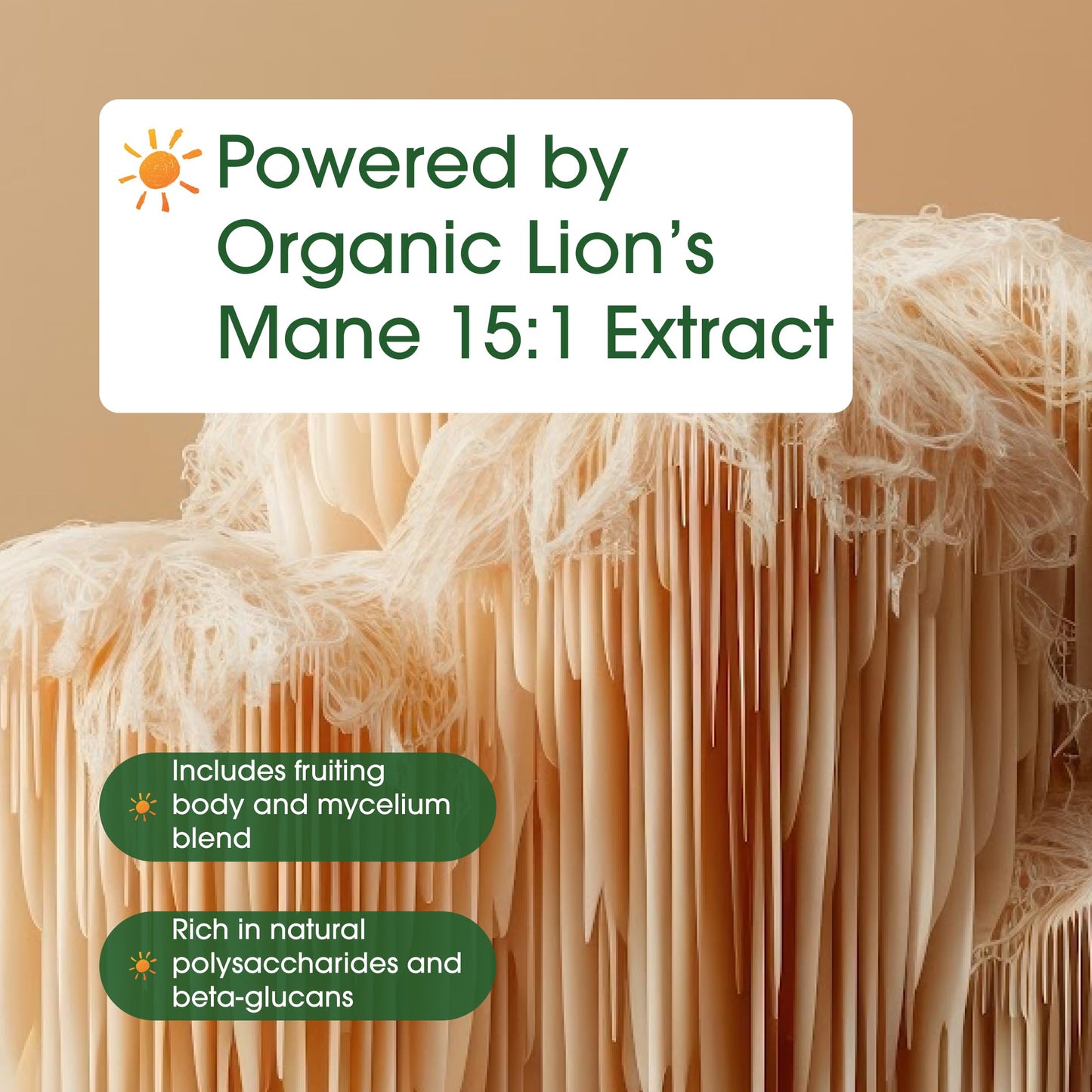 NatureBell Lion’s Mane 240 Capsules