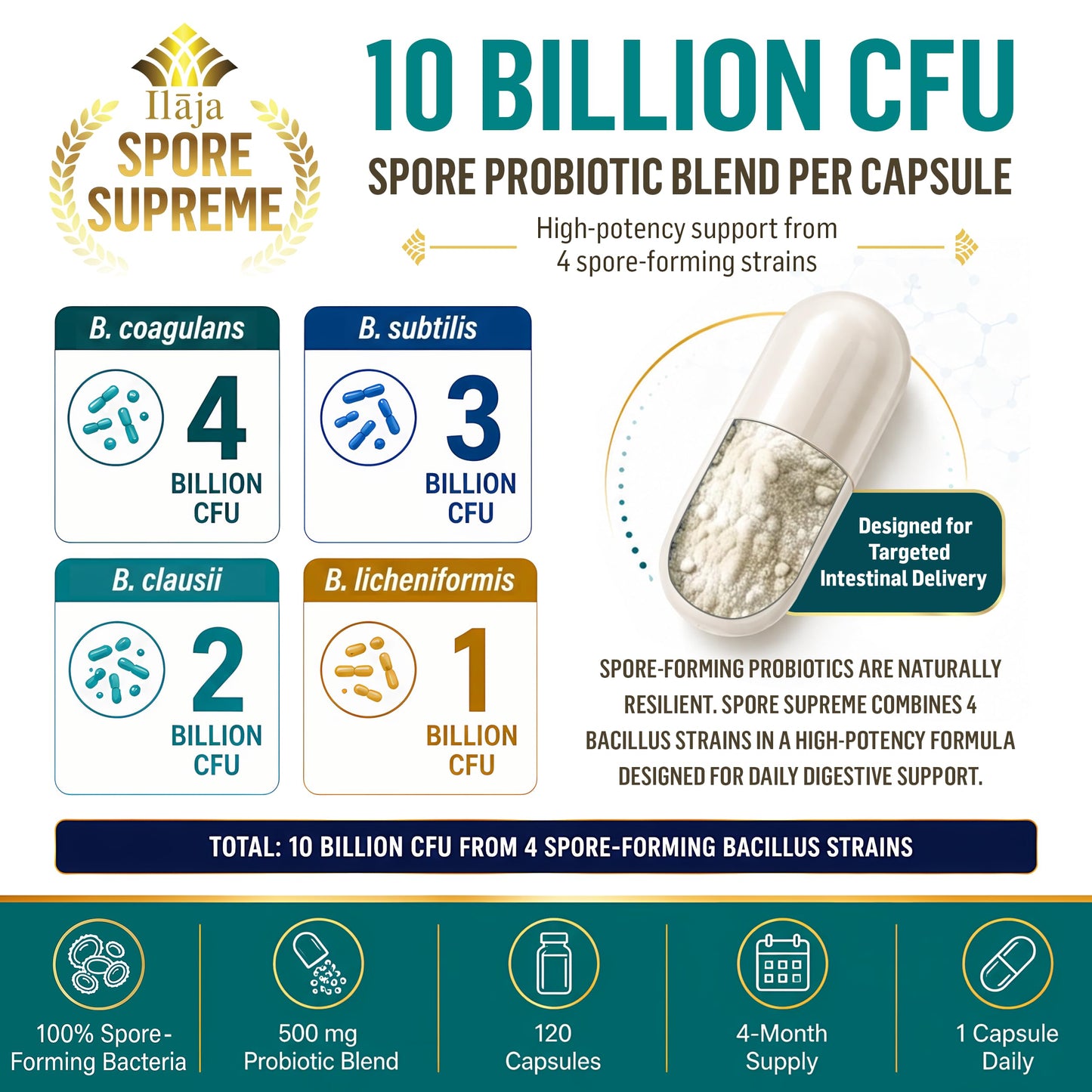 ILAJA Spore Supreme Spore Based Probiotic 120 Capsules, 10 Billion CFU, 4 Strain Formula, No Refrigeration Needed, Dairy Free