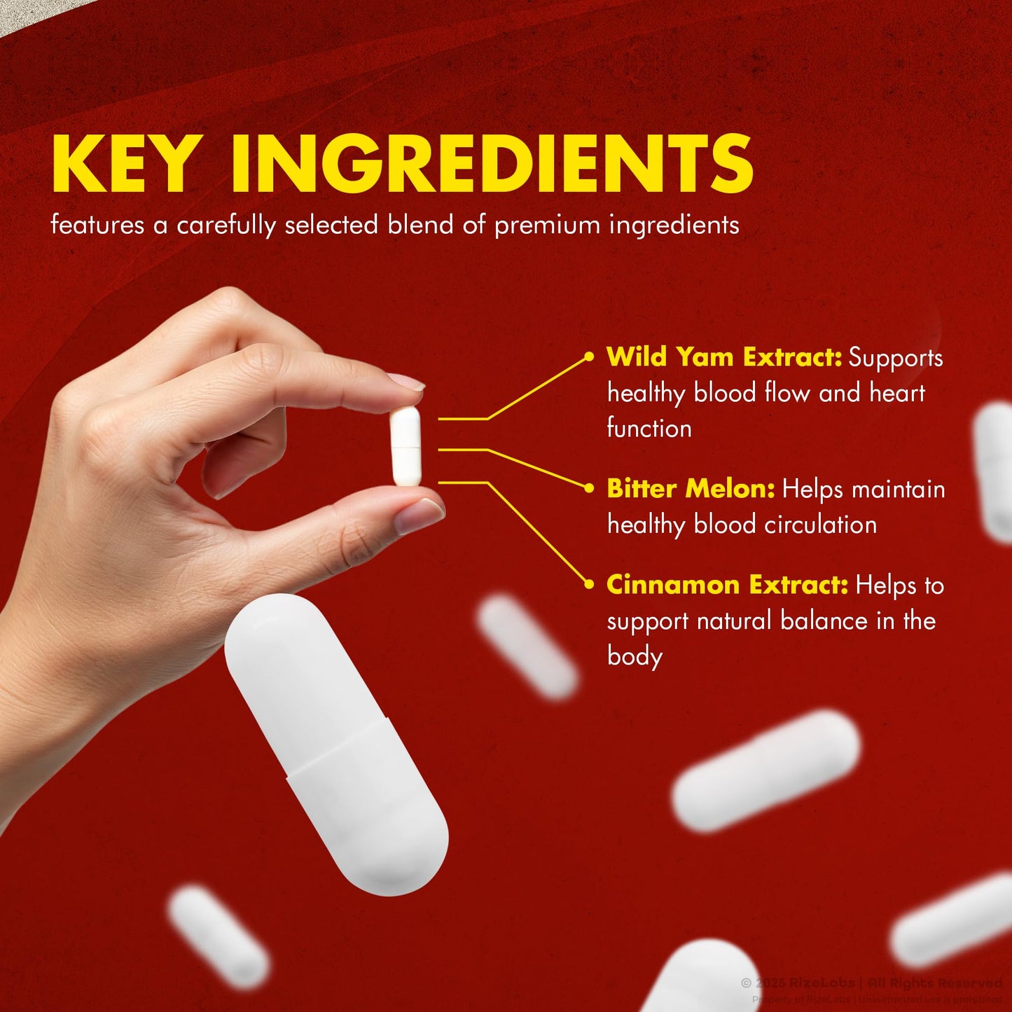 rize labs Arteris Plus Dietary Supplement Capsules 300