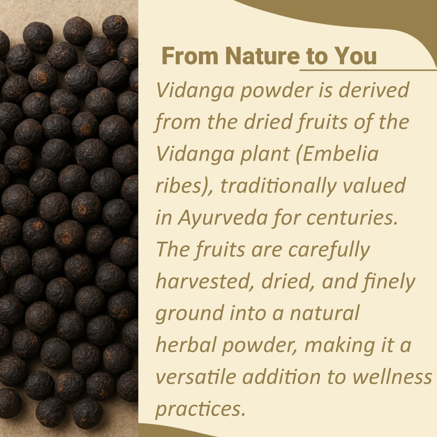 minature Vidanga Powder (Embelia Ribes) 227 g