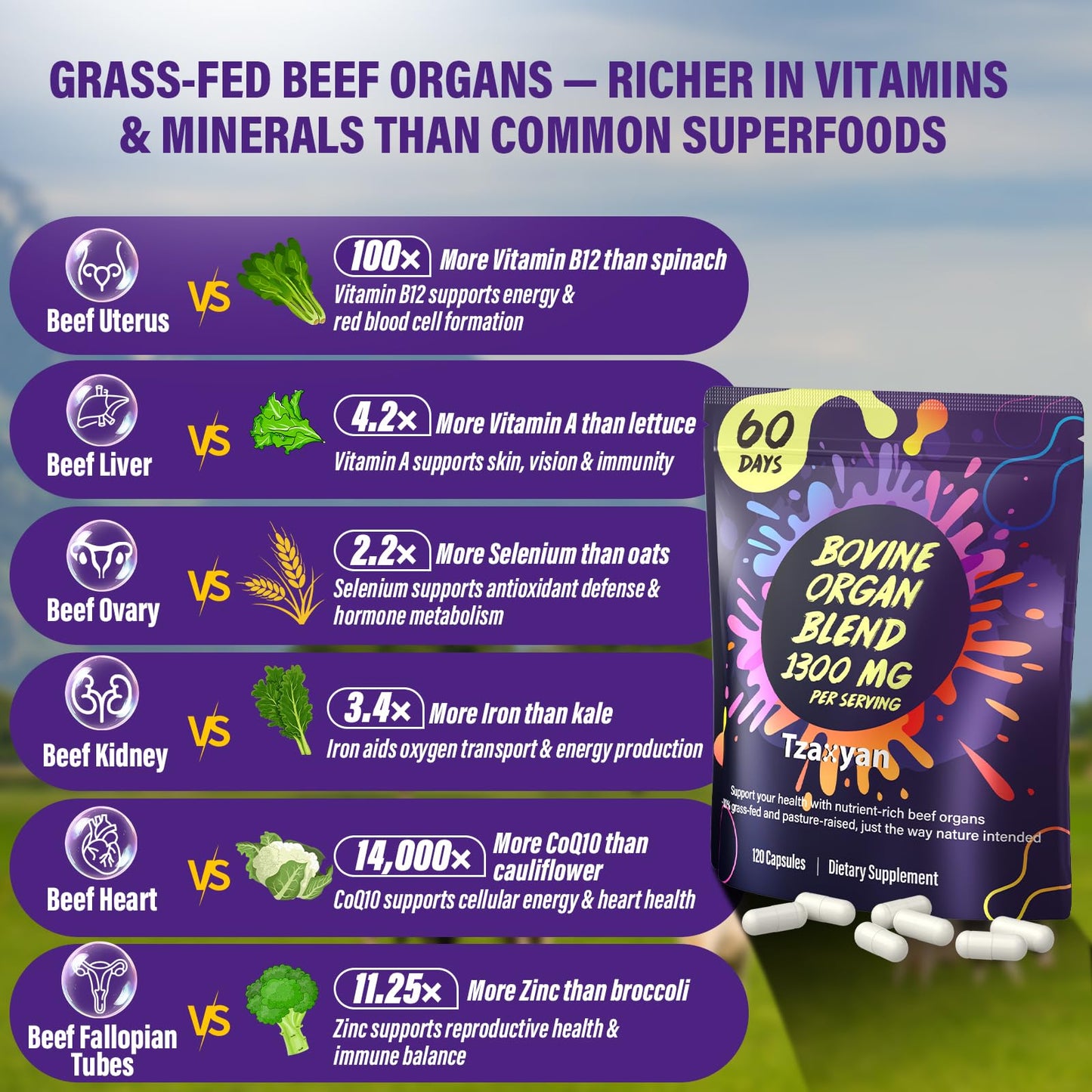 tzaxyan 1300MG Beef Organ Supplement for Women, 100% Grass Fed Beef Liver, Uterus, Ovary & 3 More, Bovine Organ Capsules, 120 Capsules