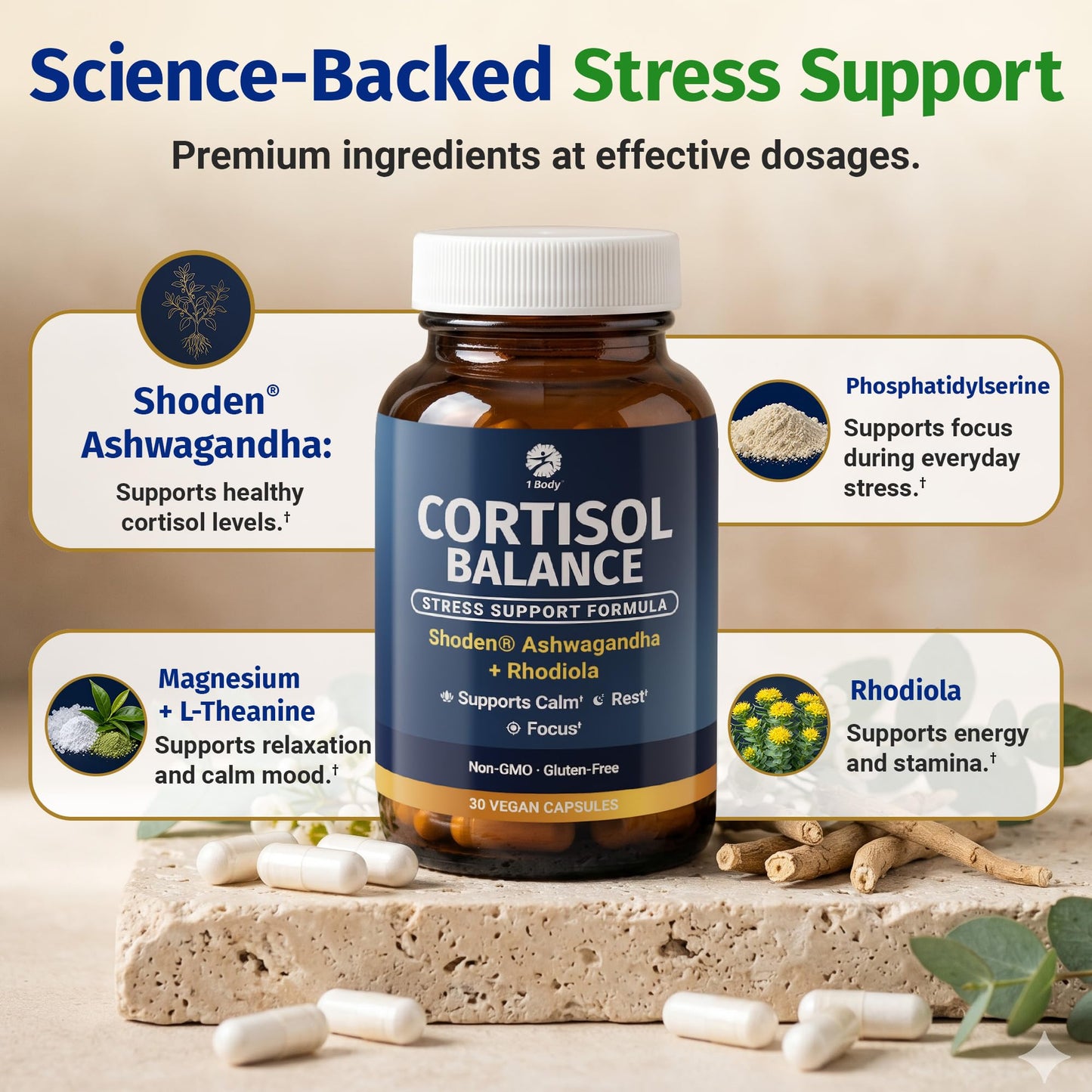 1 Body Cortisol Support with Ashwagandha & Saffron 30 Capsules