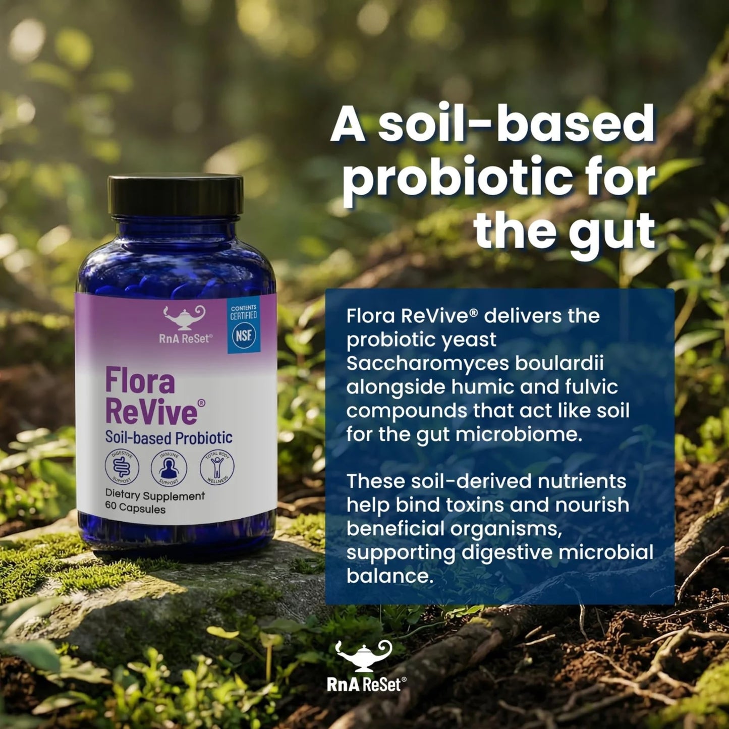 RnA ReSet Flora Revive 60 Capsules