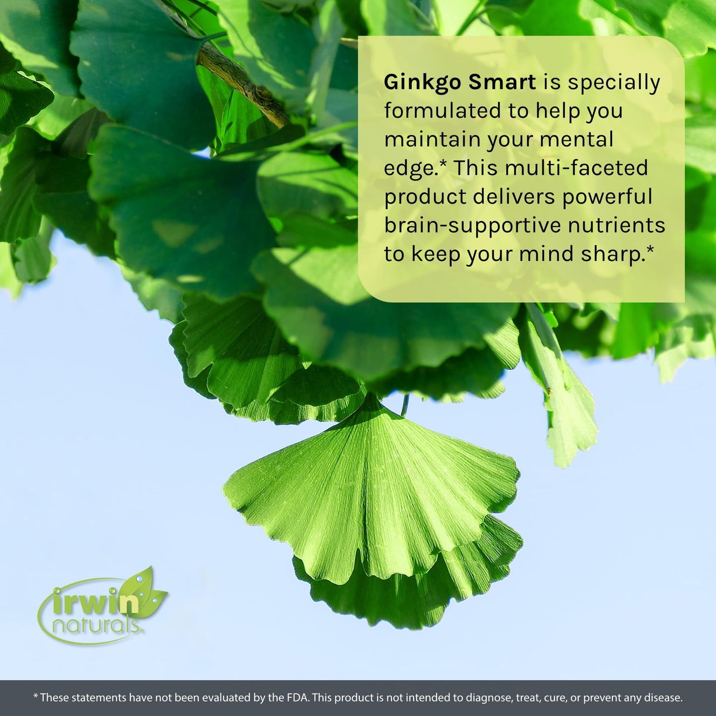 Irwin Naturals Ginkgo Smart Memory & Brain Support Softgels 120-Count