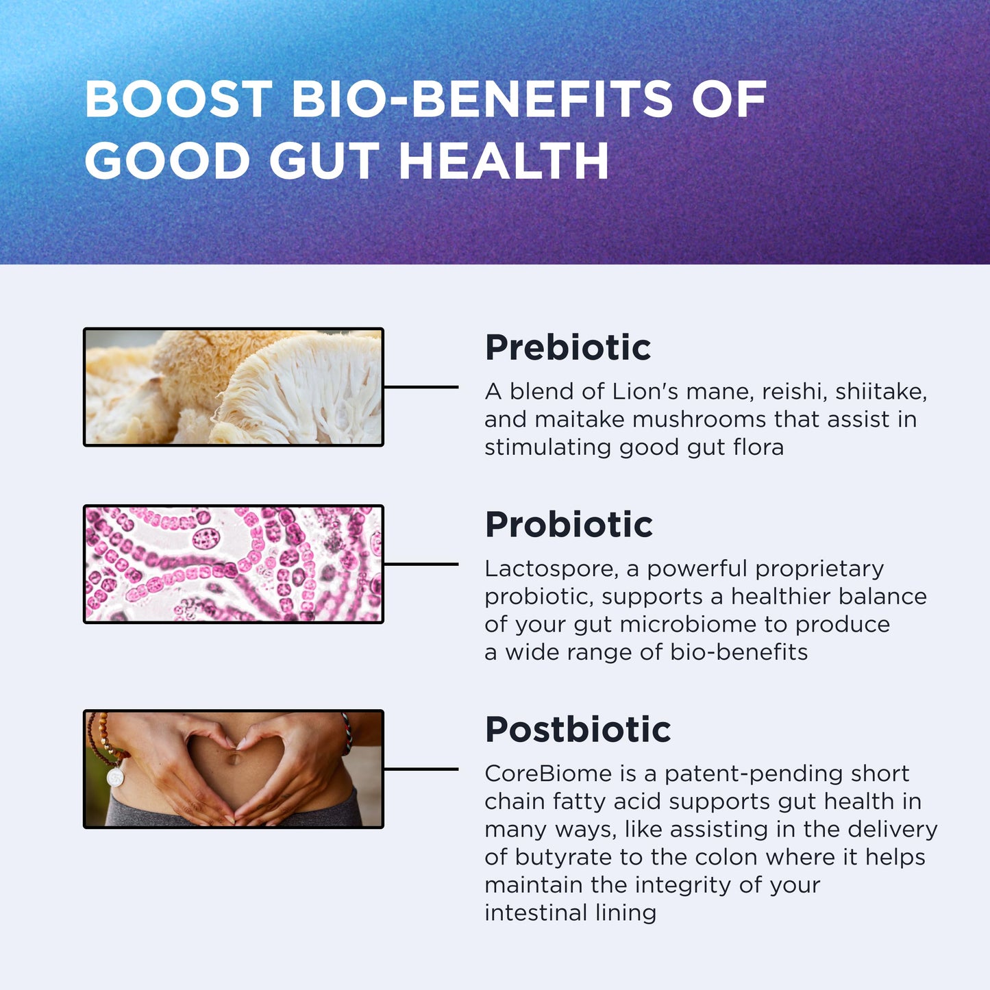 Dr. Emil Nutrition Total Gut Health Complex Prebiotic, Probiotic & Postbiotic Supplement Capsule 60 Capsules (Pack of 2)