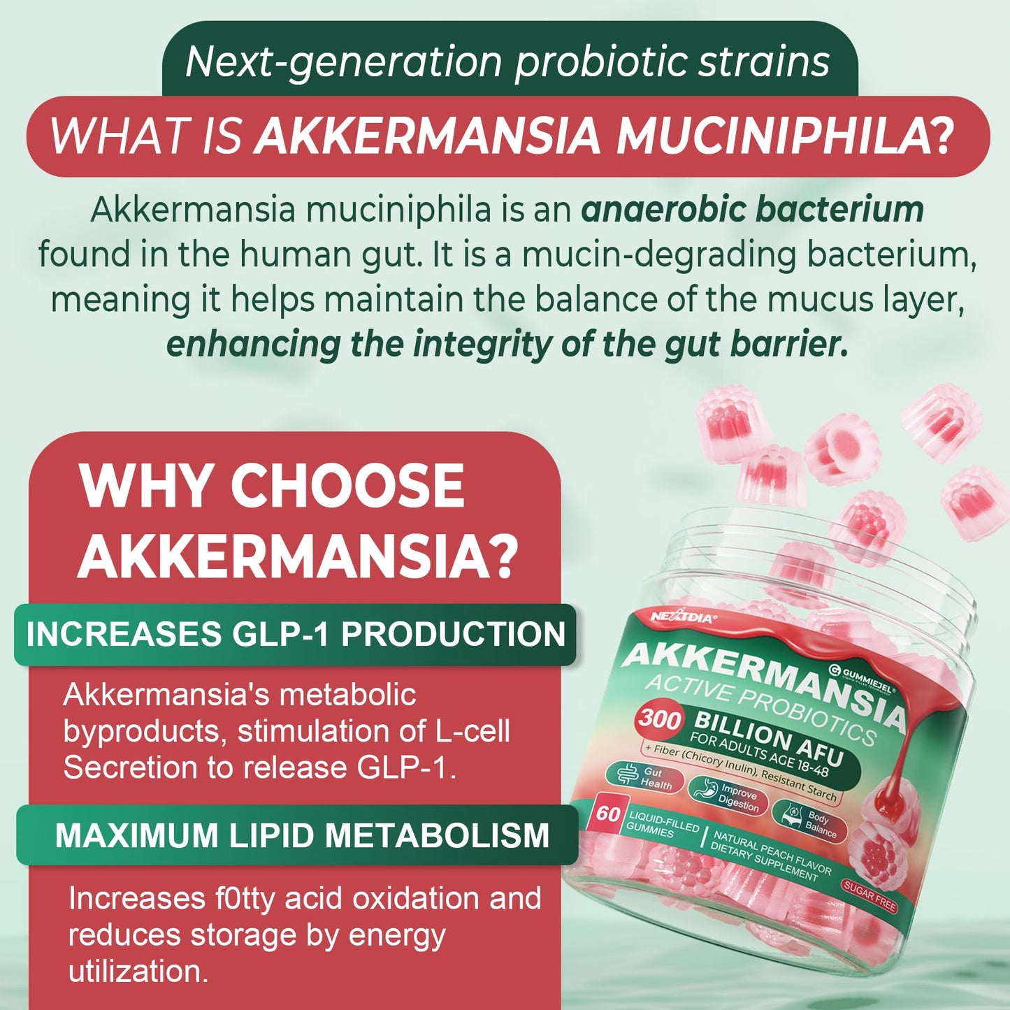 Nextdia Akkermansia Probiotics Gummies with Prebiotics Fiber, GLP-1 Akkermansia Muciniphila Supplement with Polyphenol Fruits, Resistant Starch, Vitamin A D3 B2 for Metabolism, Digestive & Gut Health, 60 Gummies