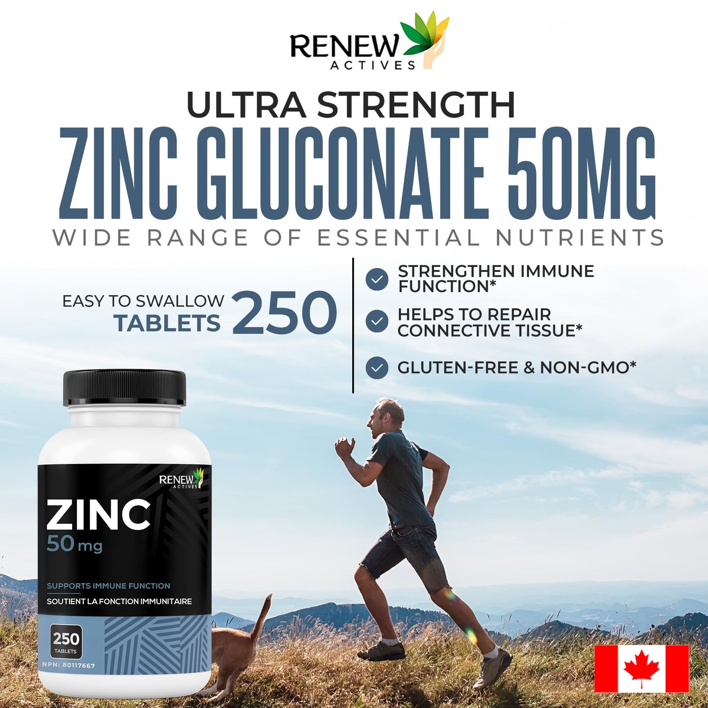 Renew Actives Zinc Supplements 50 mg Capsule 1 Count