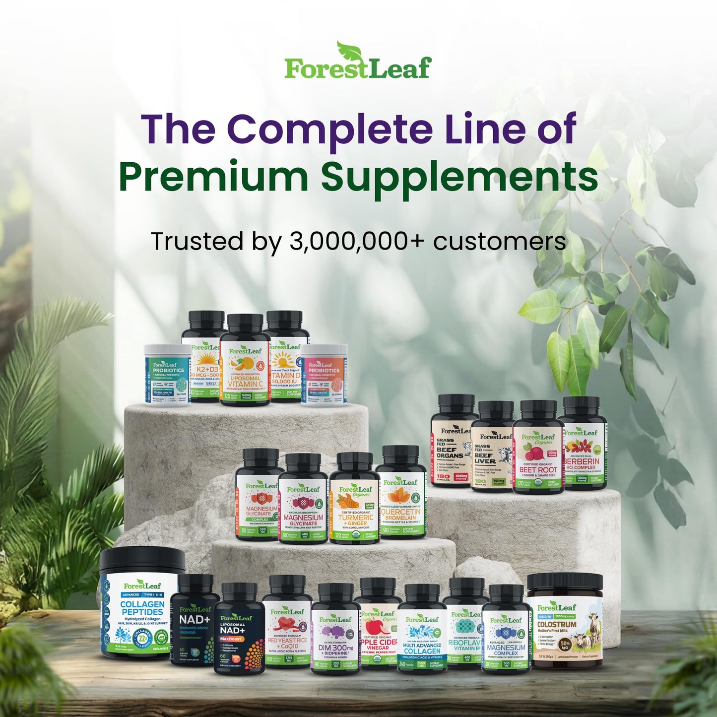 ForestLeaf Glucosamine Chondroitin MSM Joint Supplement Complex 120 Capsules
