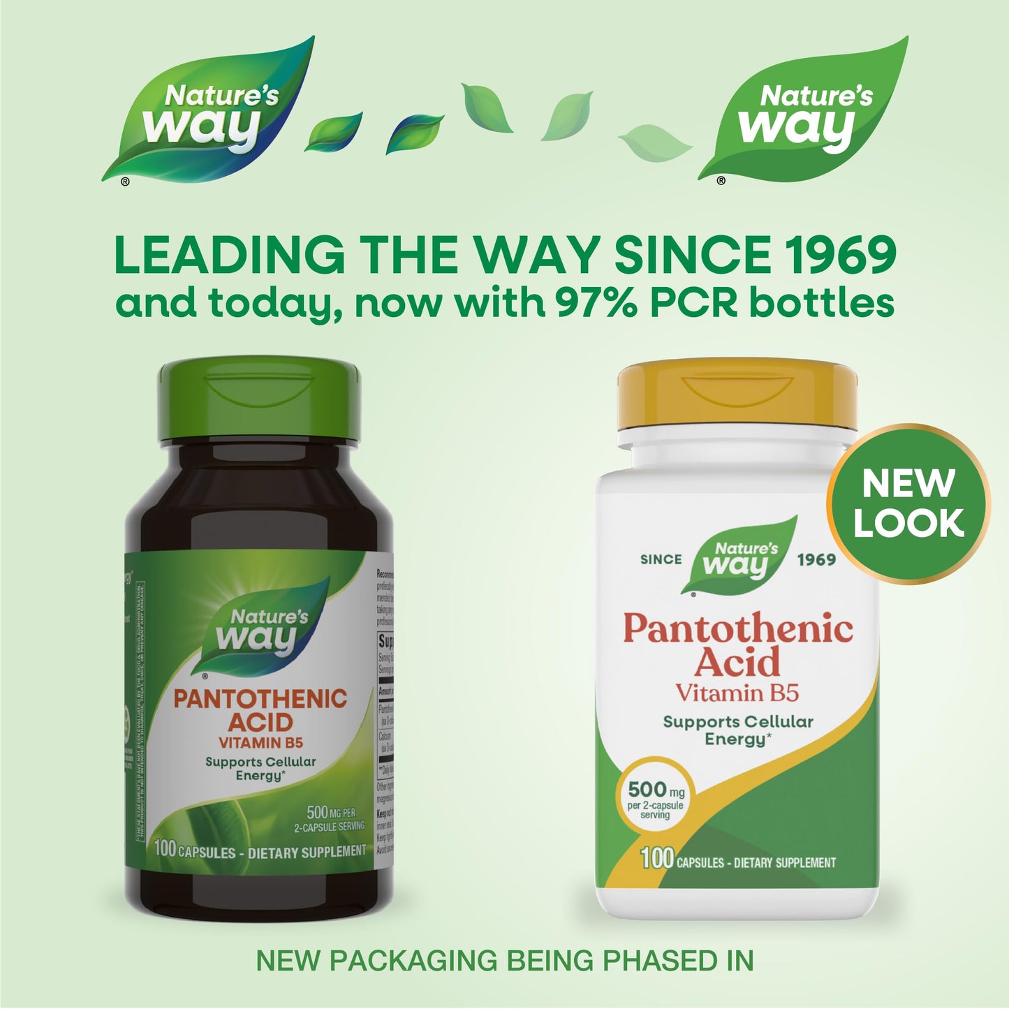 Nature's Way Pantothenic Acid Capsules, Supports Cellular Energy*, 100 Capsules