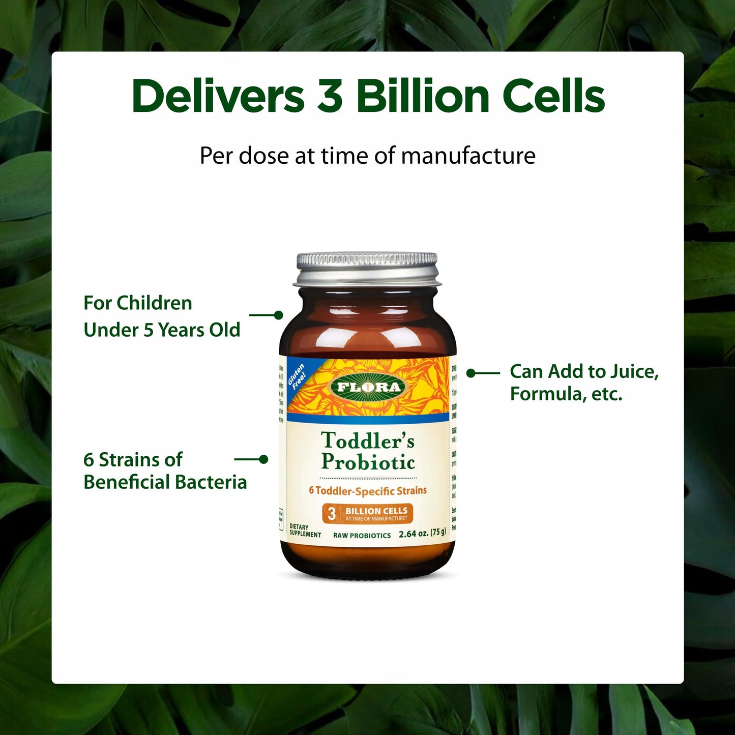 Flora Toddler's Probiotic Powder 2.64 oz