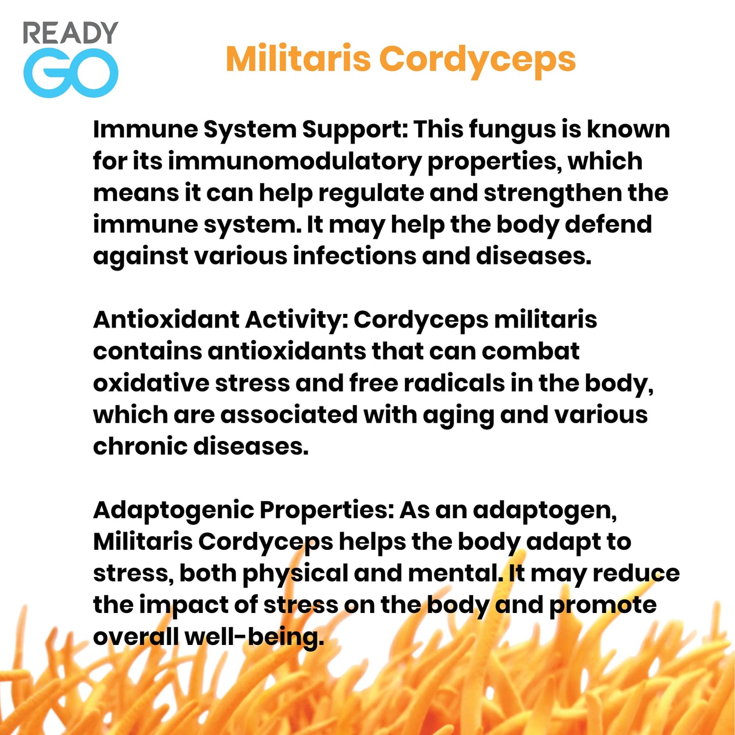 READYGO Cordyceps Militaris Mushroom Capsules with Ginseng Extract, Energy, Stamina and Immune Support, 30 Capsules