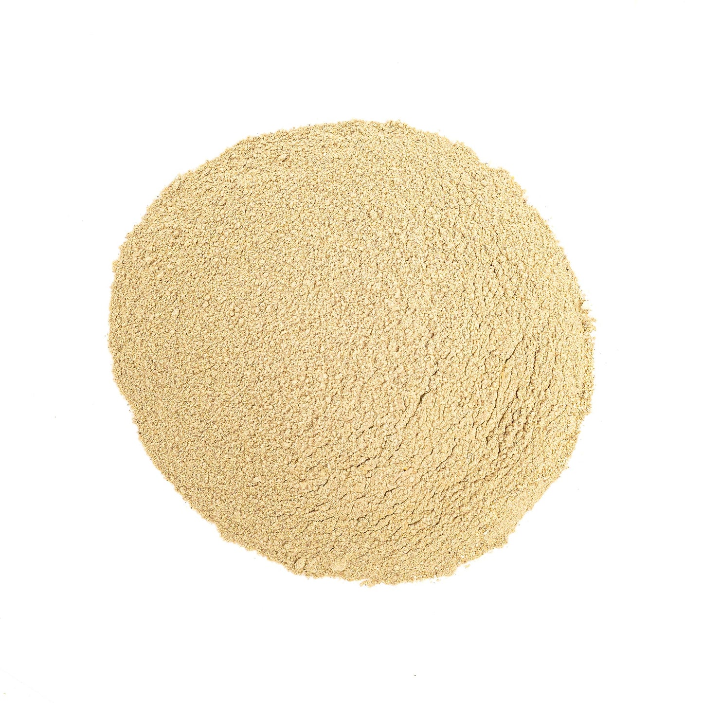 MONTEREY BAY HERB CO Burdock Root Powder, 1 lb