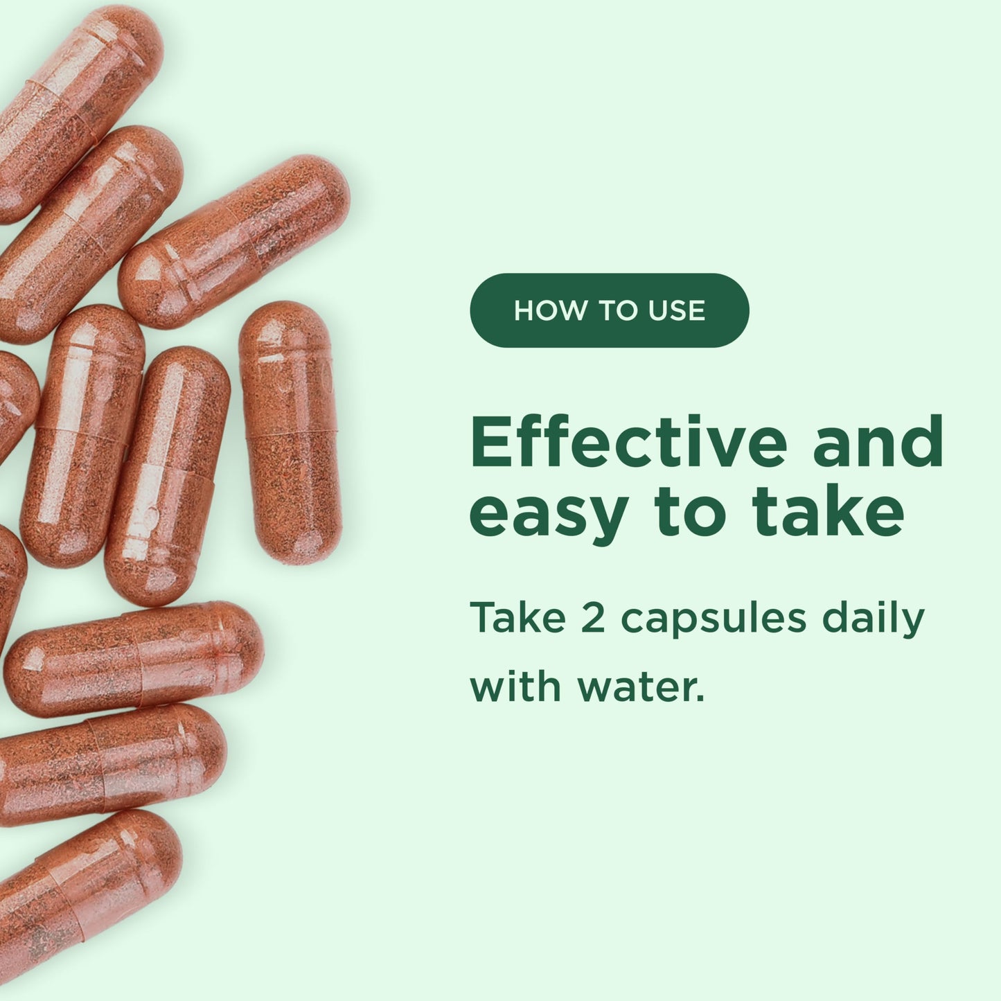 Yuve Red Yeast Rice 1200 mg with CoQ10 100 mg Veggie Capsules, 120 Count