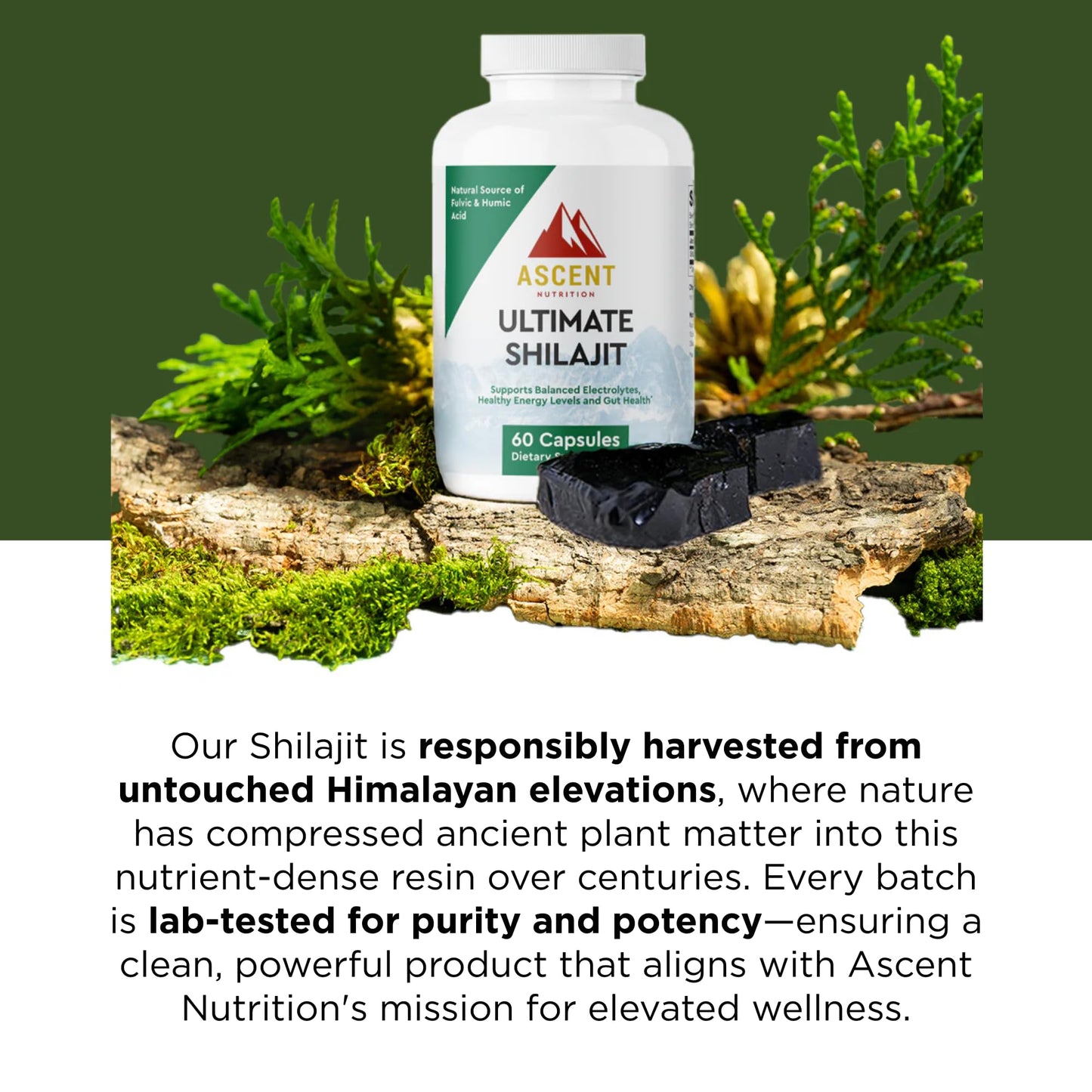 Ascent Nutrition Ultimate Shilajit, 60 Capsules