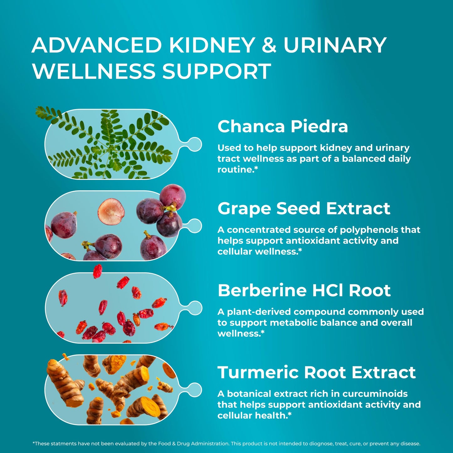 PUREHEALTH RESEARCH Kidney Health Formula - Kidney Cleanse Detox & Repair Capsule 60 Capsules