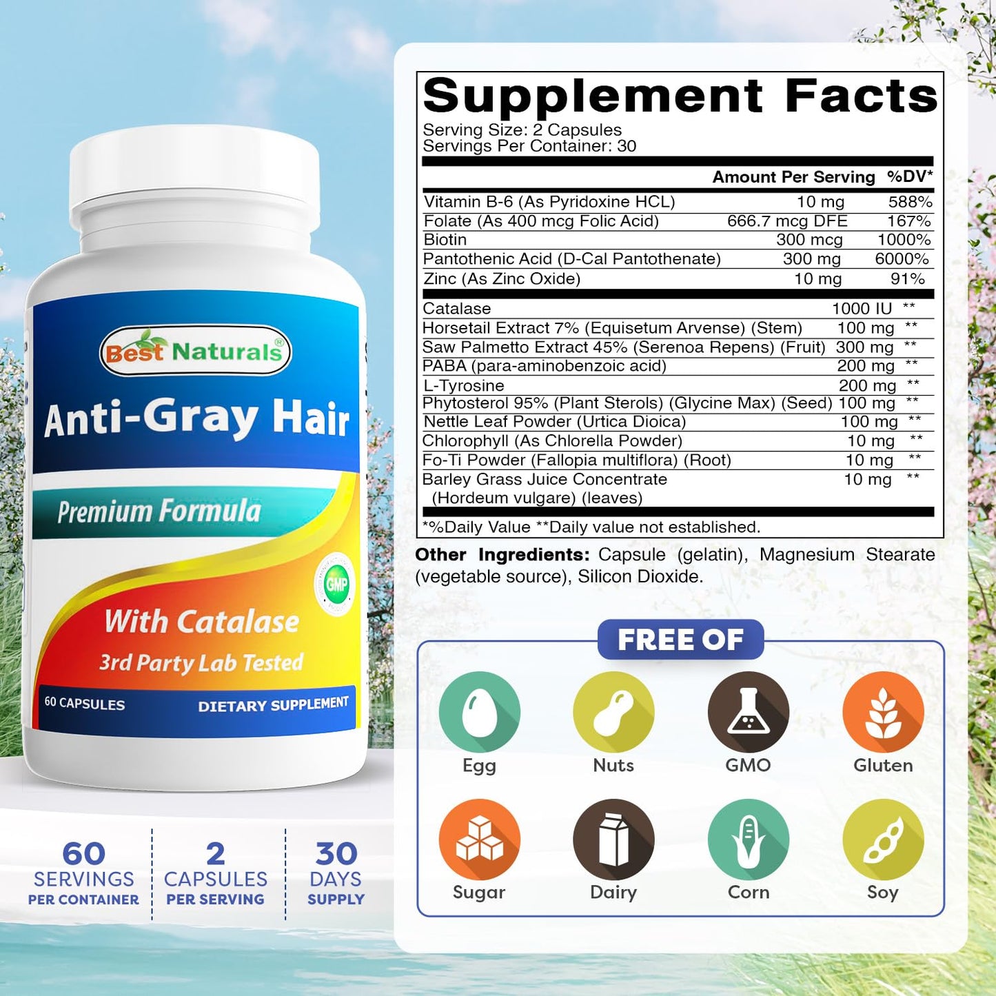 Best Naturals Anti Gray Hair Formula 120 Capsules