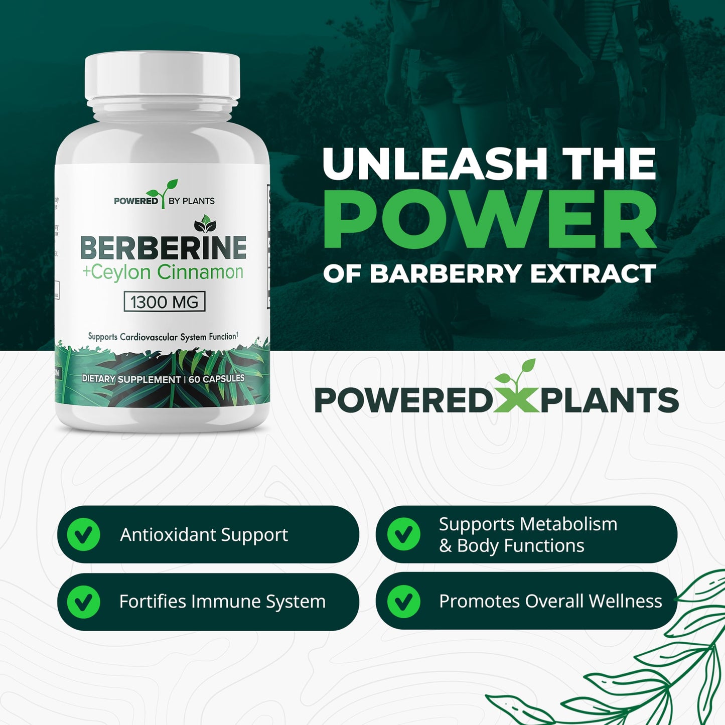 POWERED X PLANTS Berberine with Cinnamon Supplement Capsule, 300 Capsules