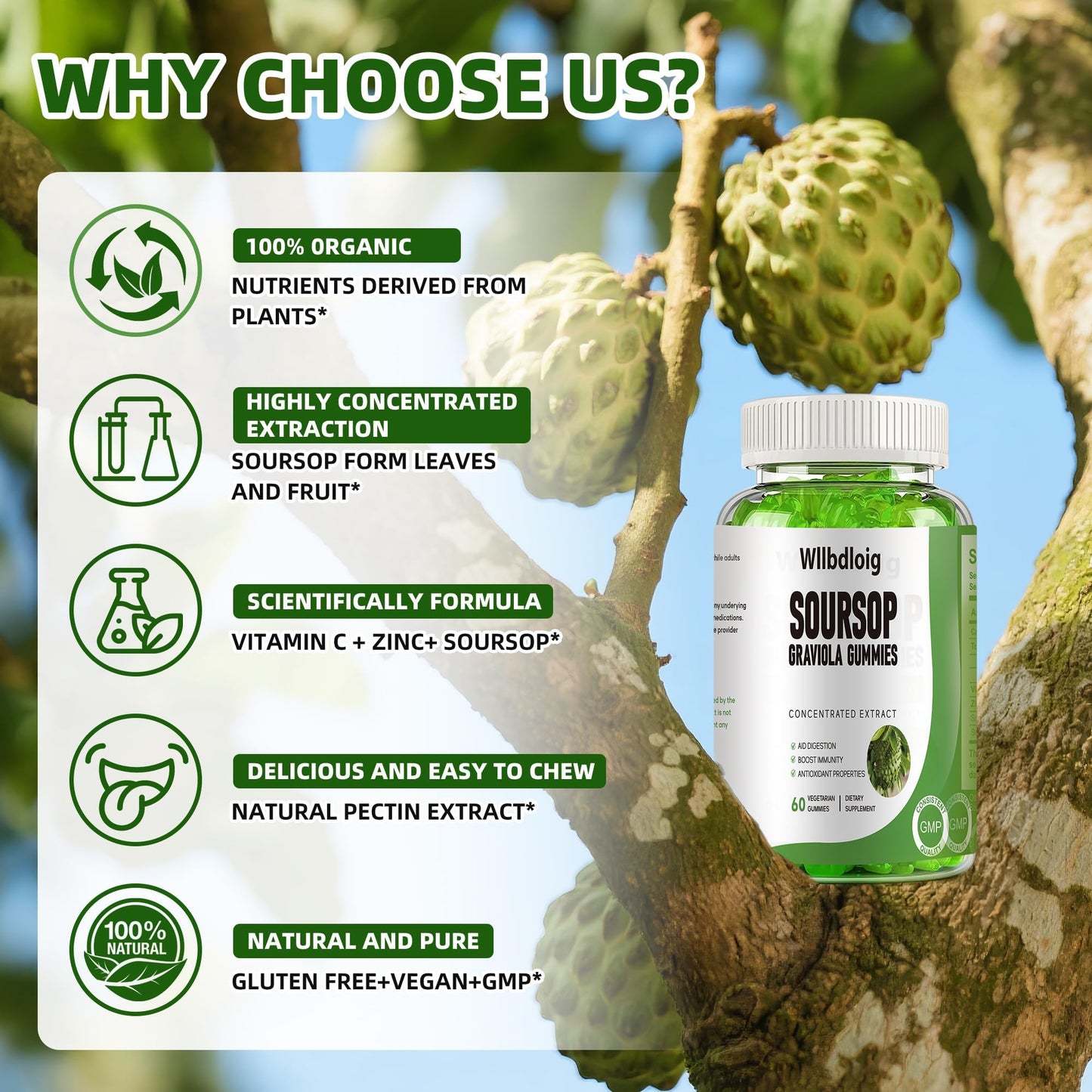 Wllbdloig Soursop Graviola Gummies 2