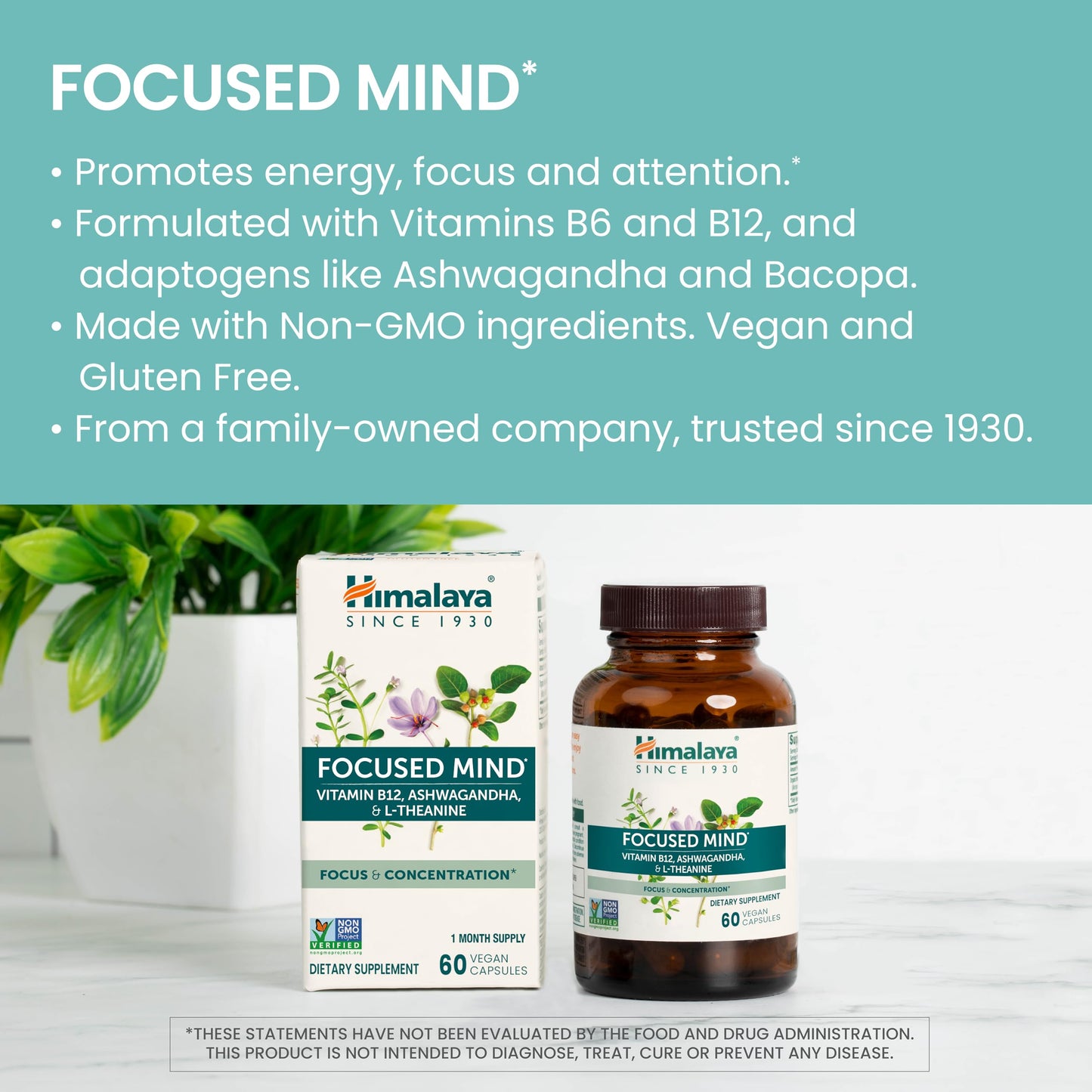 Himalaya Focused Mind Supplement Capsule, 60 Count