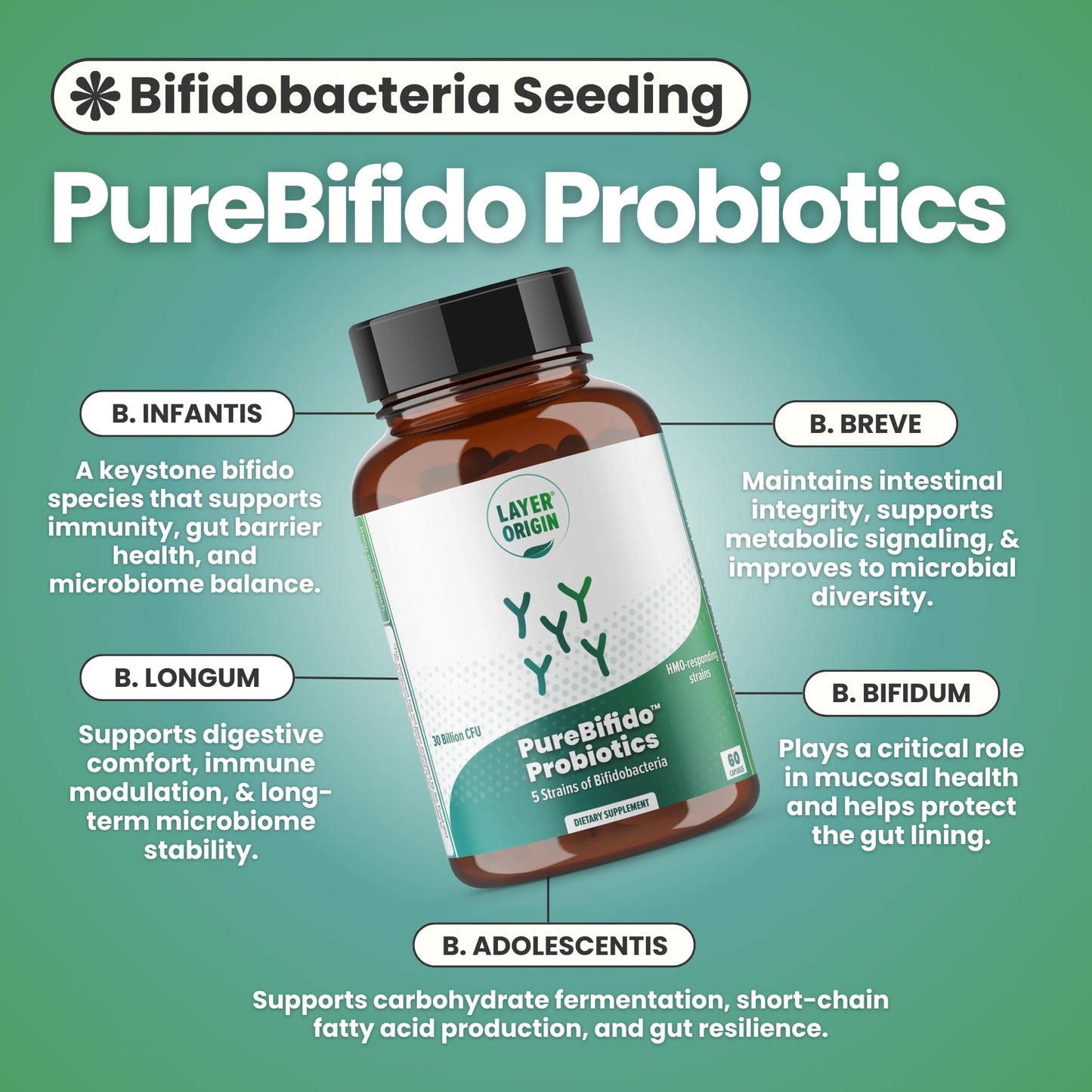 Layer Origin PureBifido Probiotics Capsule, 60 Count