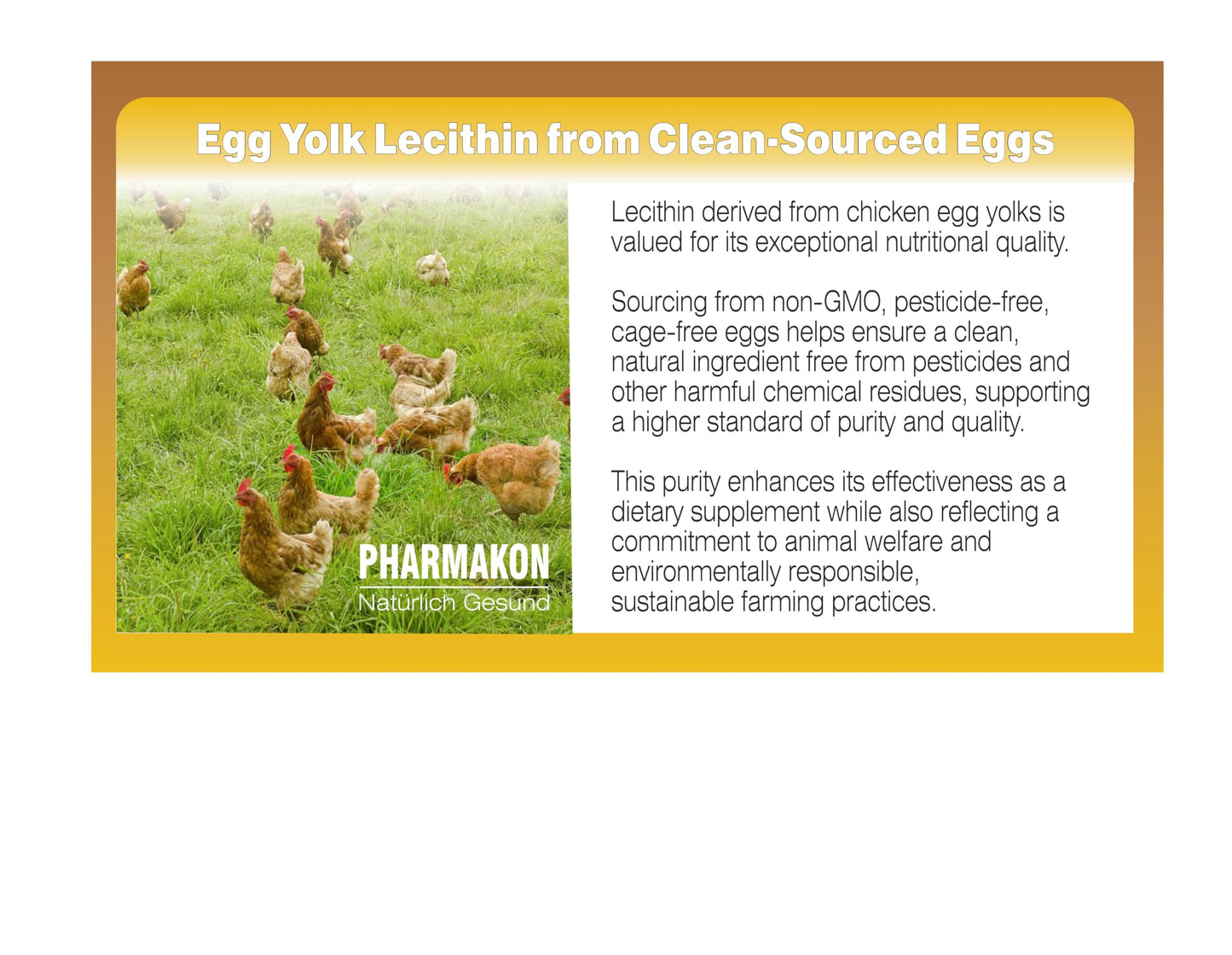 PHARMAKON Organic Egg Yolk Lecithin Softgel 90 Count