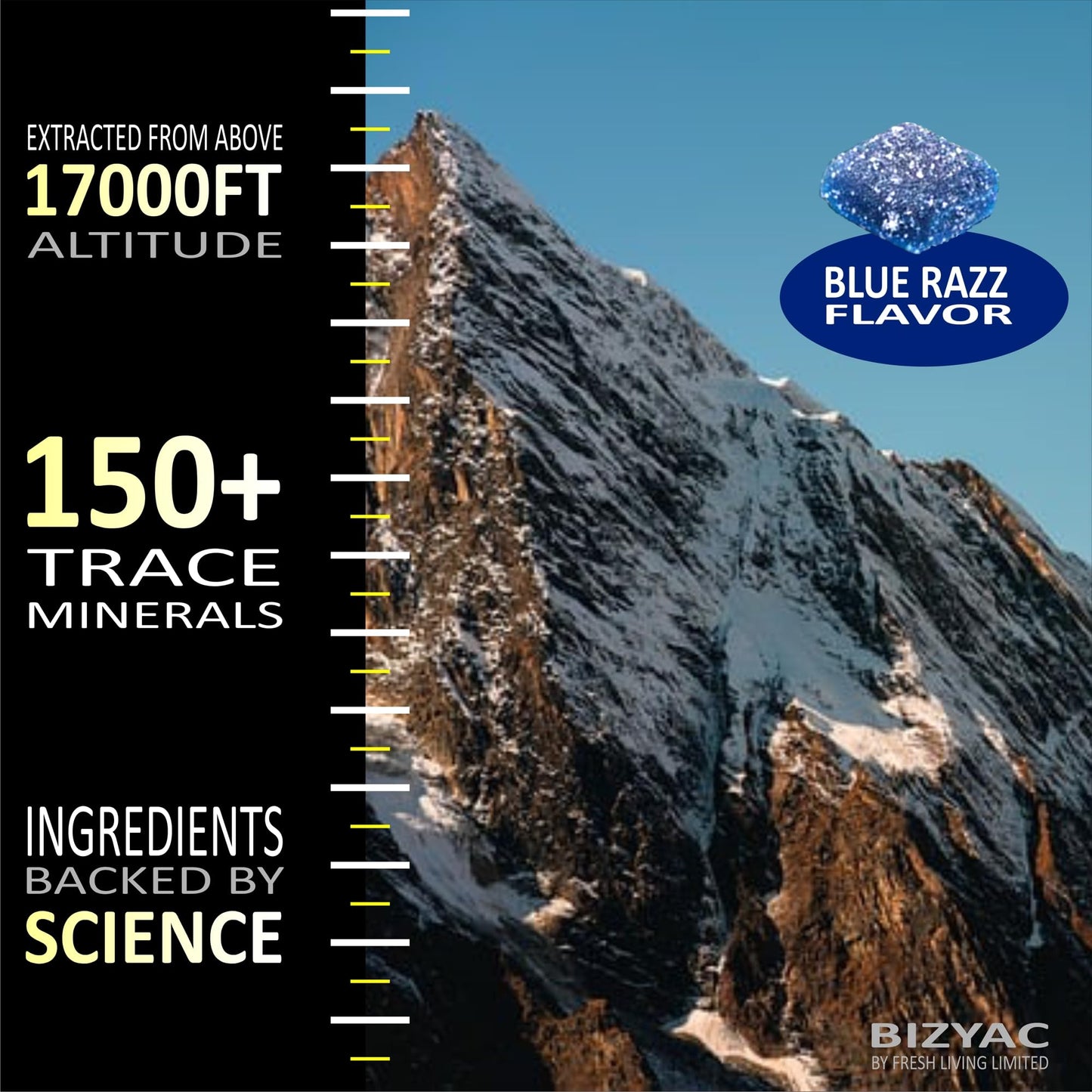 BIZYAC Shilajit Gummies, 60 Gummies