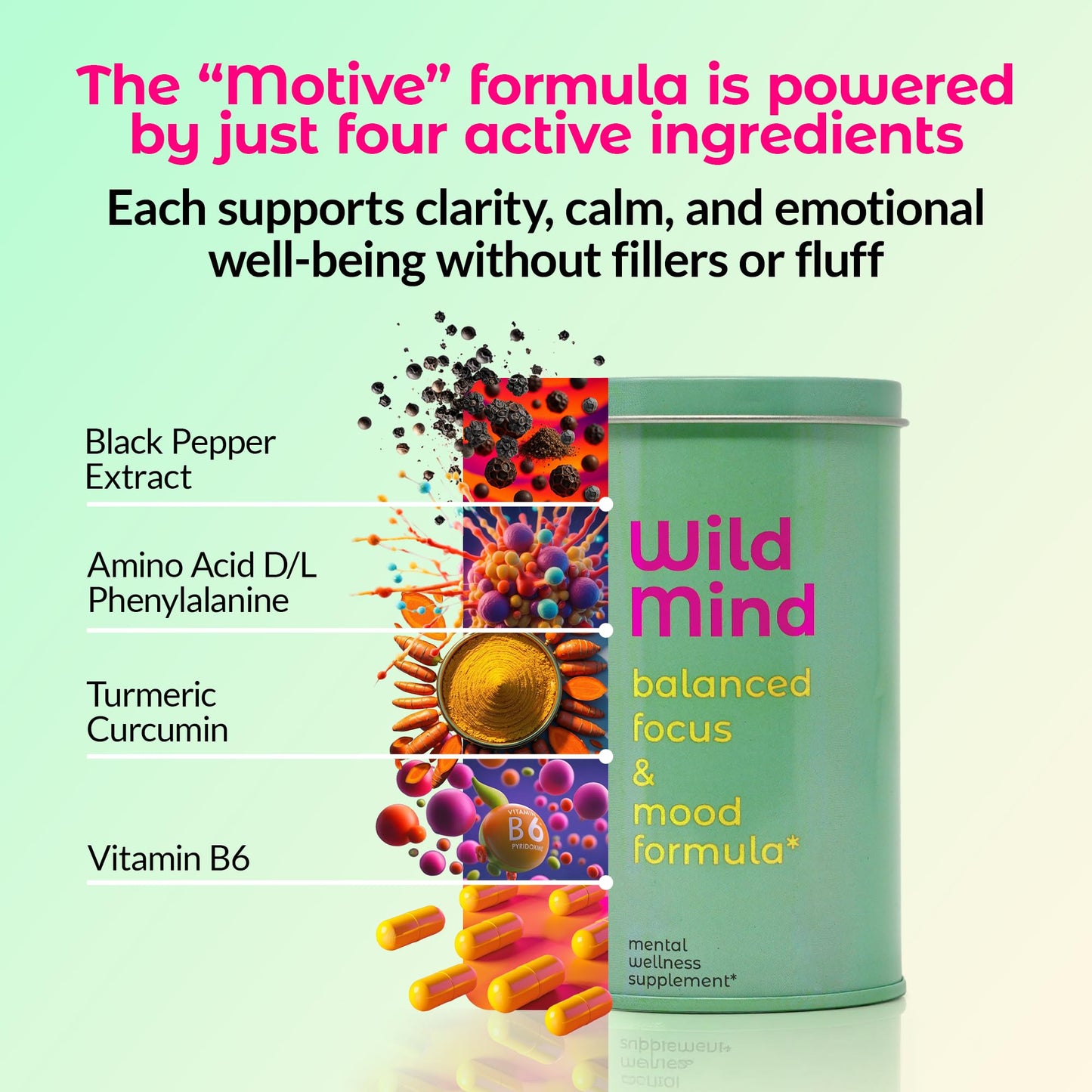 Wild Mind Mental Clarity Balanced Focus & Mood Support Supplement for Mental Wellness, 90 Capsules