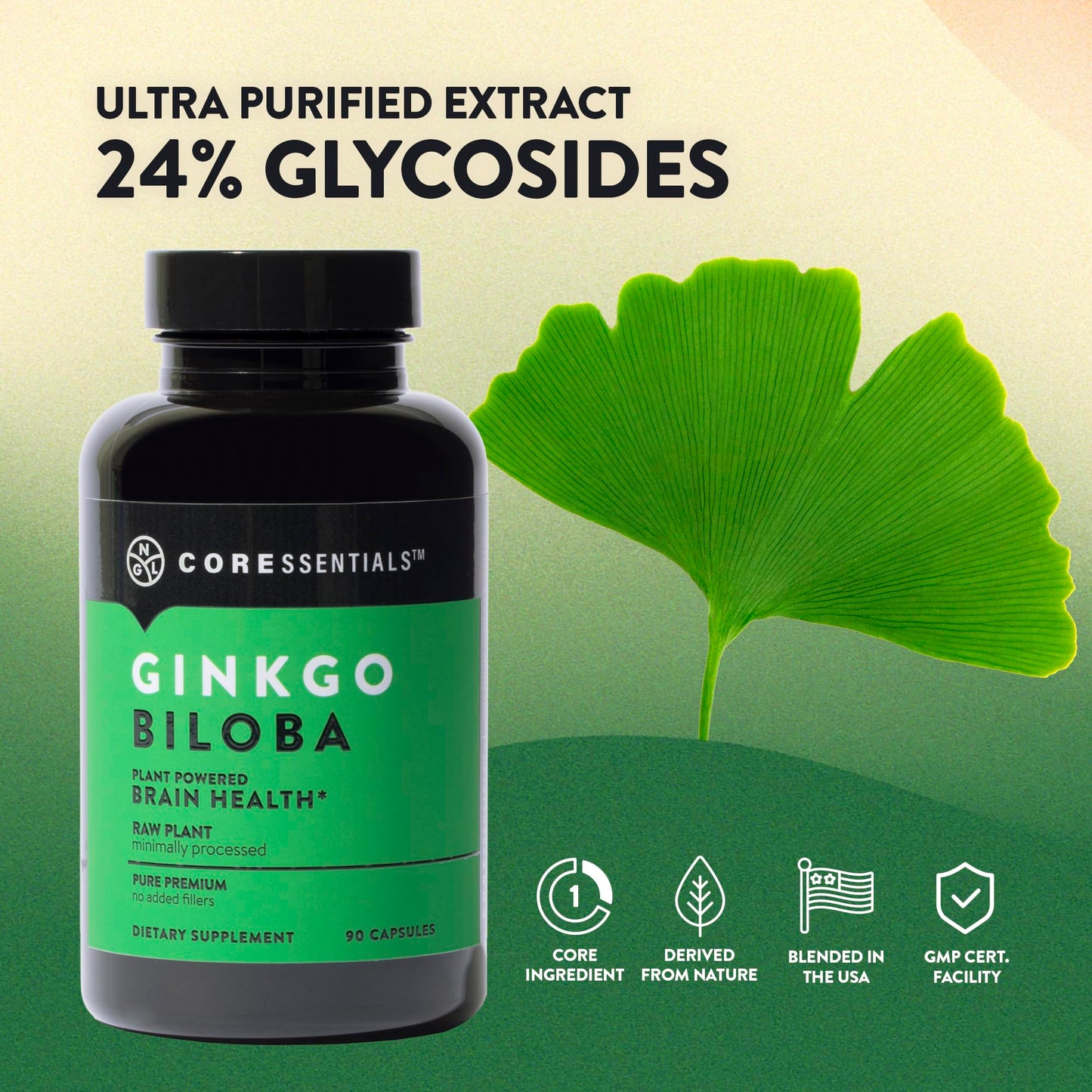 NGL Ginkgo Biloba Capsules 90 Count