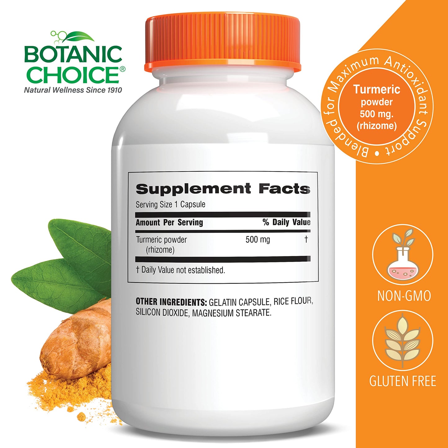 Botanic Choice Premium Turmeric Antioxidant Support - Joint Health Supplement for Adults - 180 Capsules