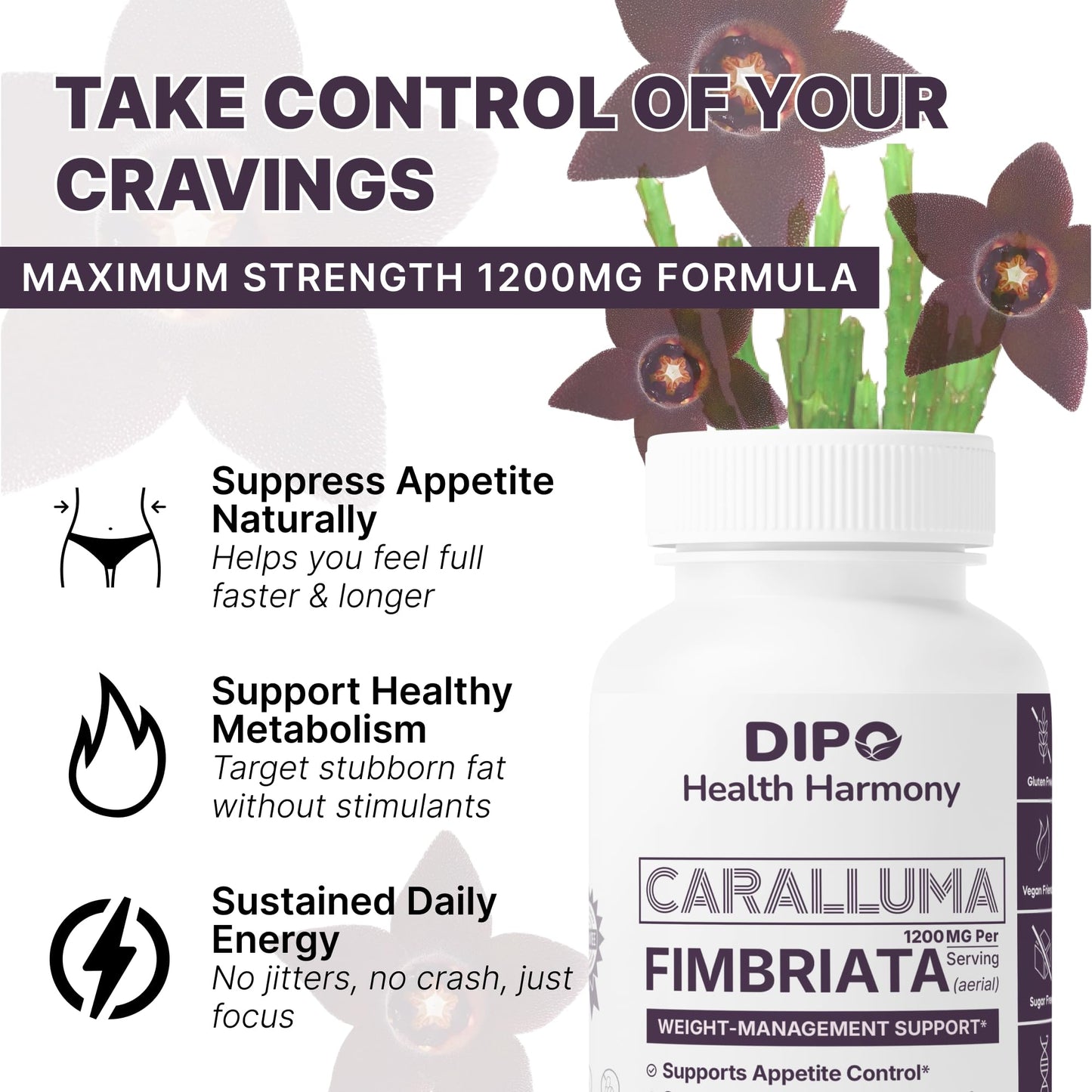 DIPO HEALTH HARMONY Caralluma Fimbriata 1200mg Capsule 60 Count